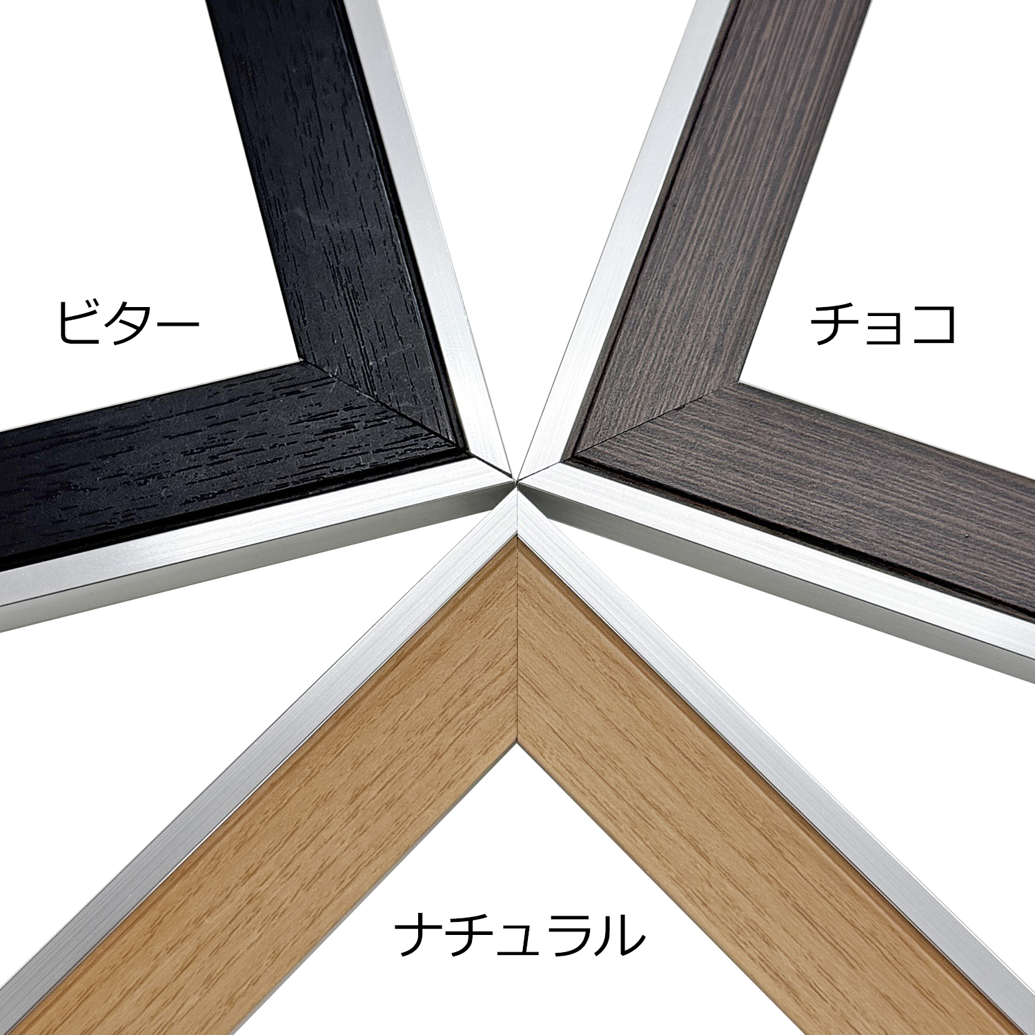 詳細画像2 一般額. モントレ