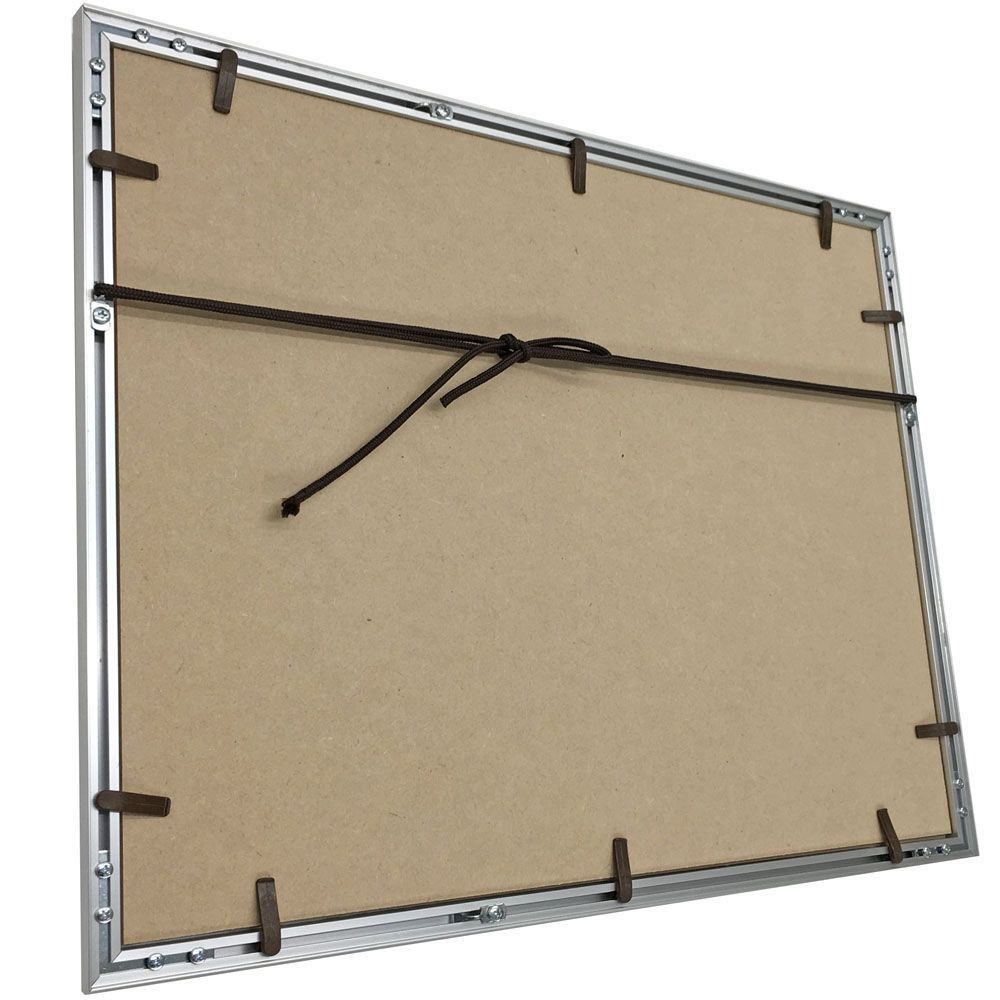 詳細画像7 一般額 クレア