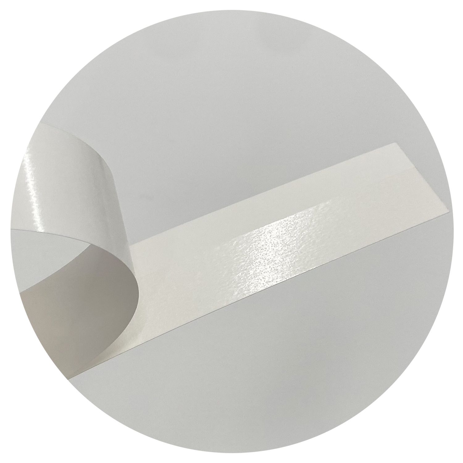 詳細画像5 サイドピタック