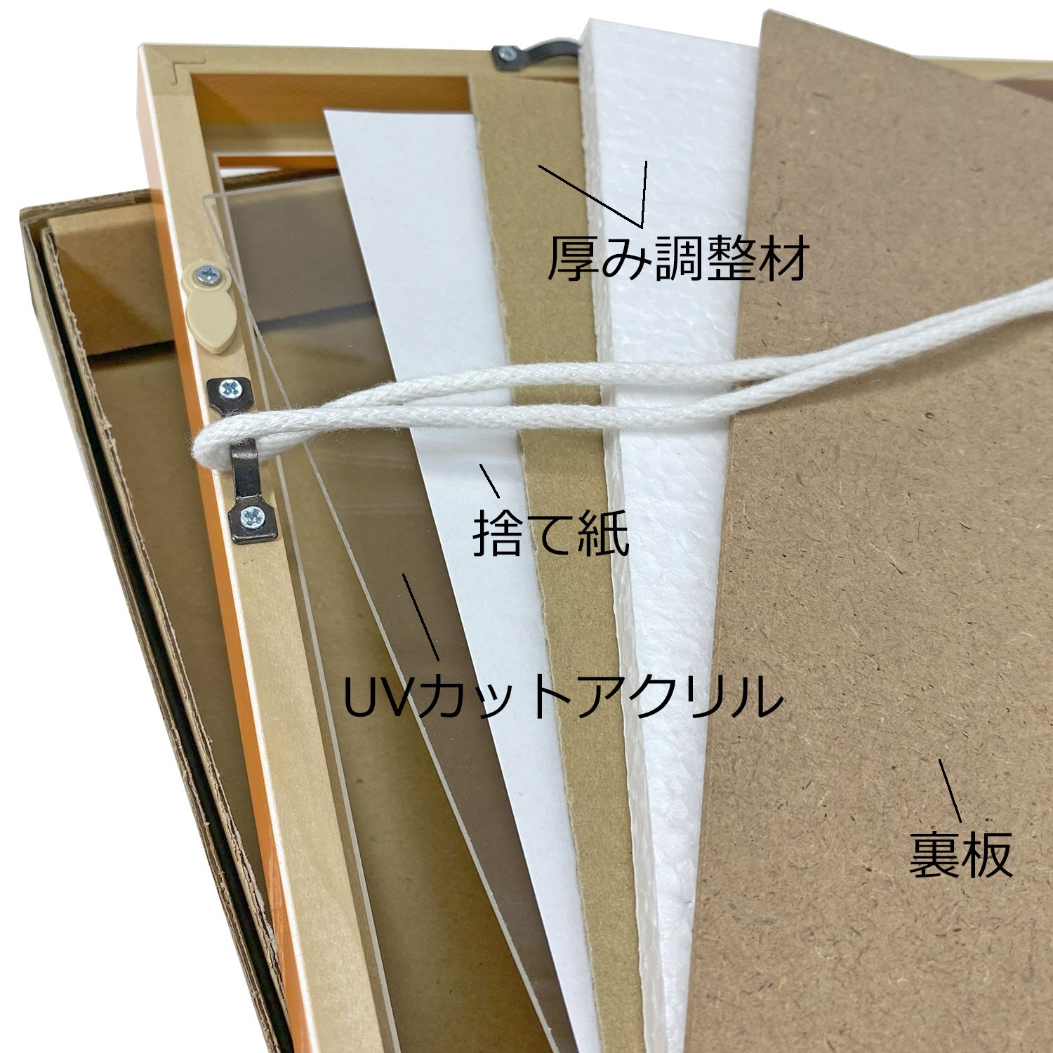 詳細画像6 クリアファイル専用 カラー推し額