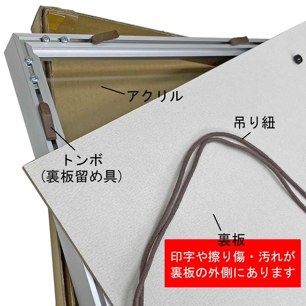 詳細画像8 バスケユニフォーム額 GT05