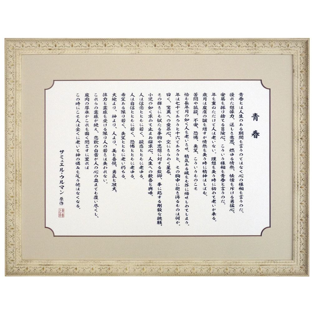 詳細画像 青春(YOUTH訳文)