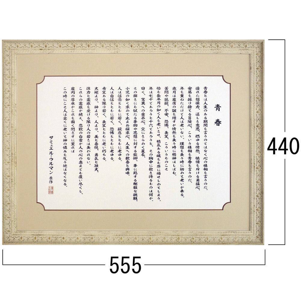 詳細画像3 青春(YOUTH訳文)