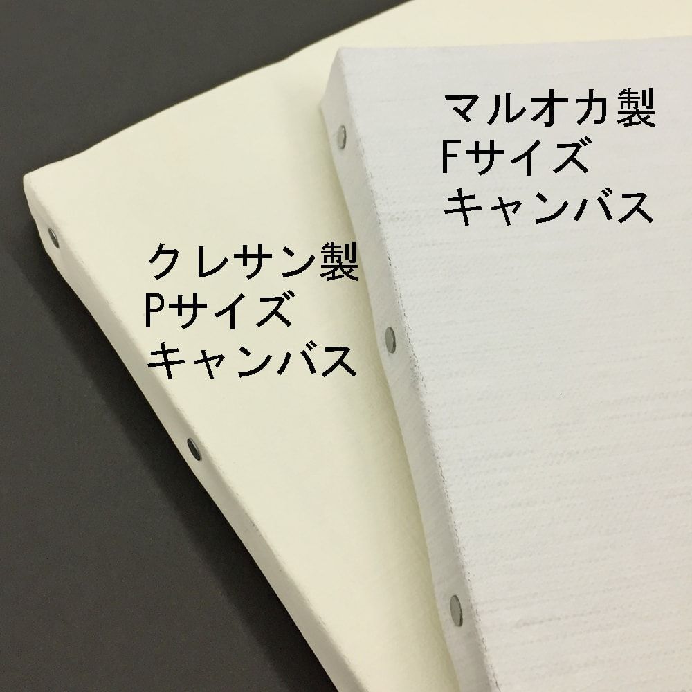 張りキャンバス Fサイズ 国内一流メーカー製の機械張りキャンバス、超