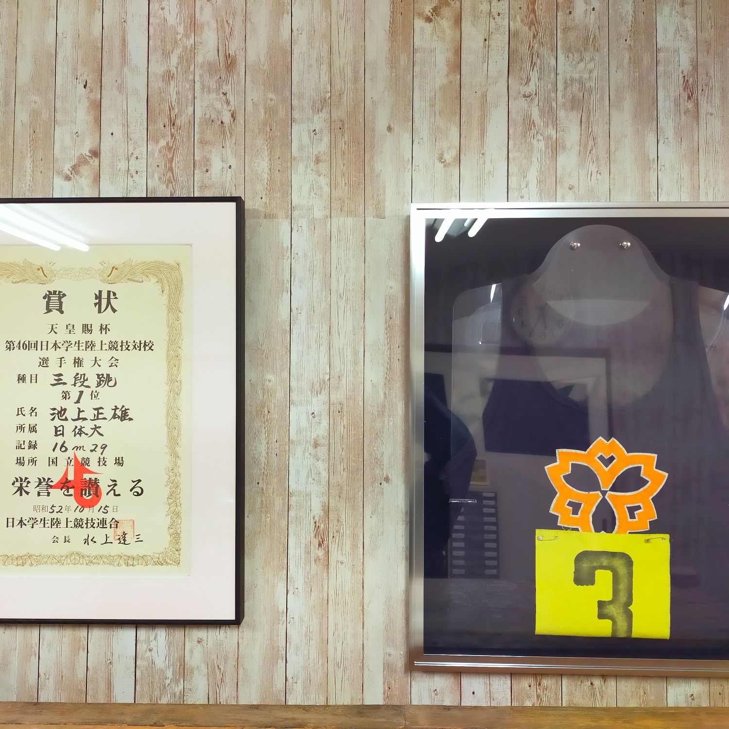 fra-me  スーパーマリオ