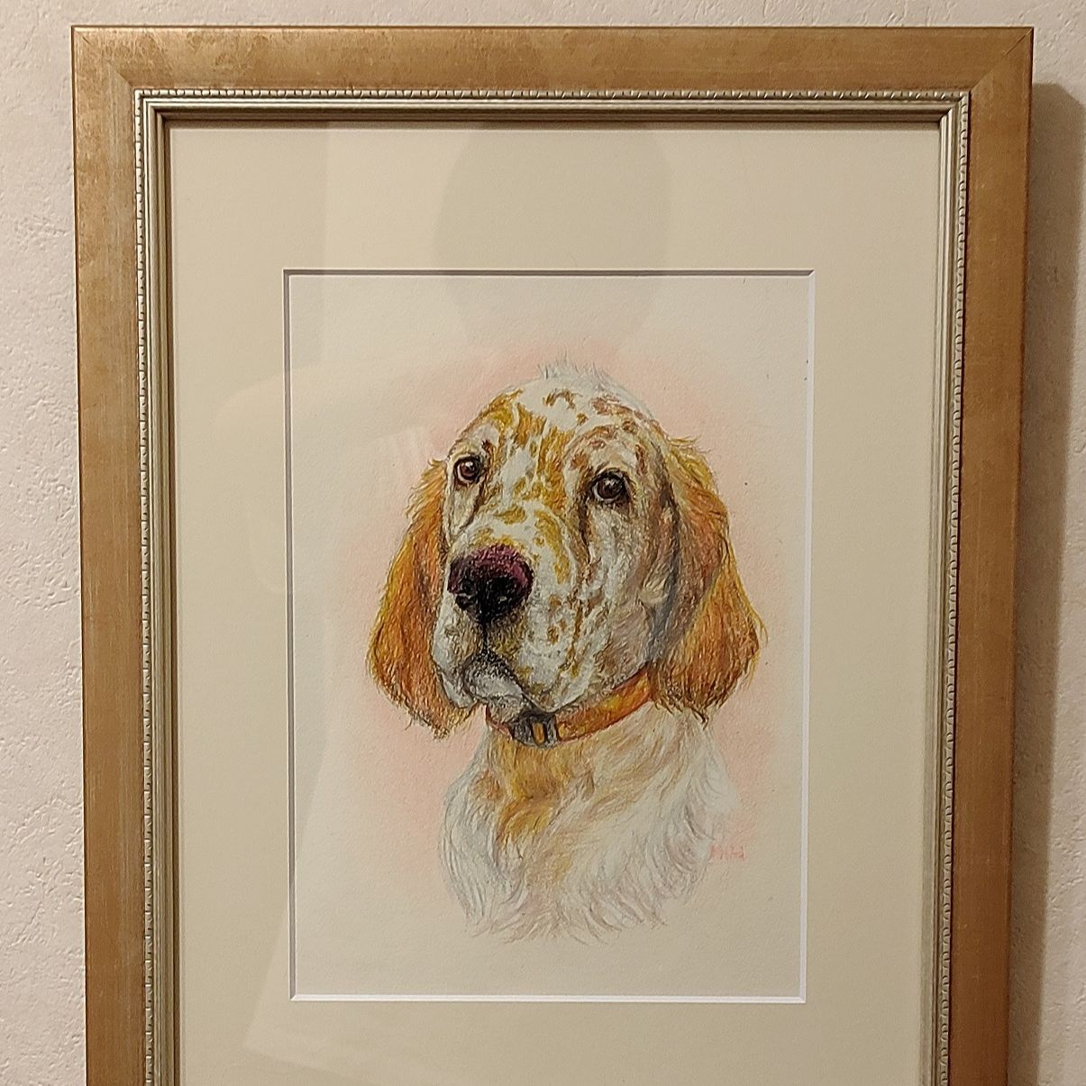  ソフィアパパ 1