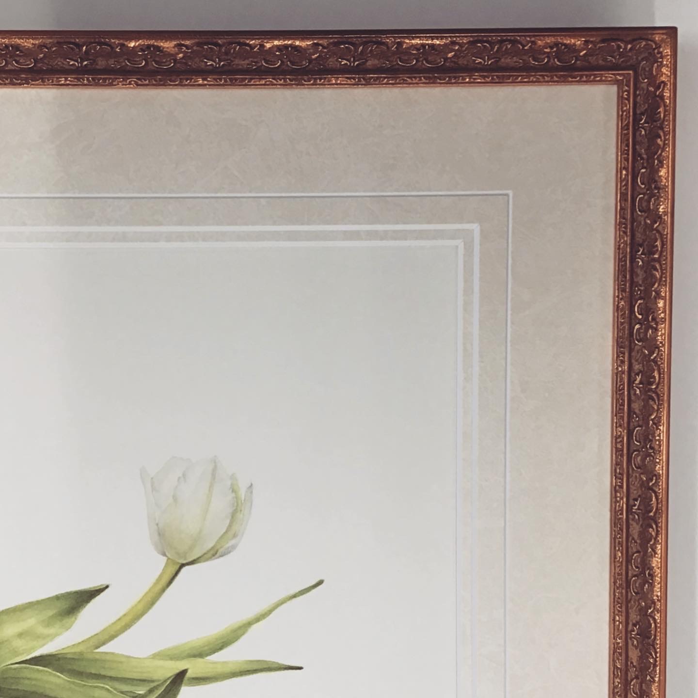  額縁のタカハシ松本店 3