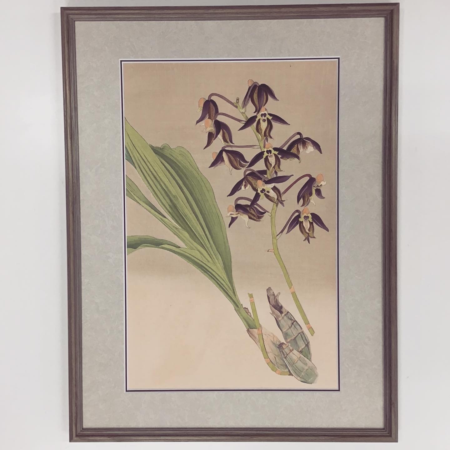 fra-me  額縁のタカハシ松本店