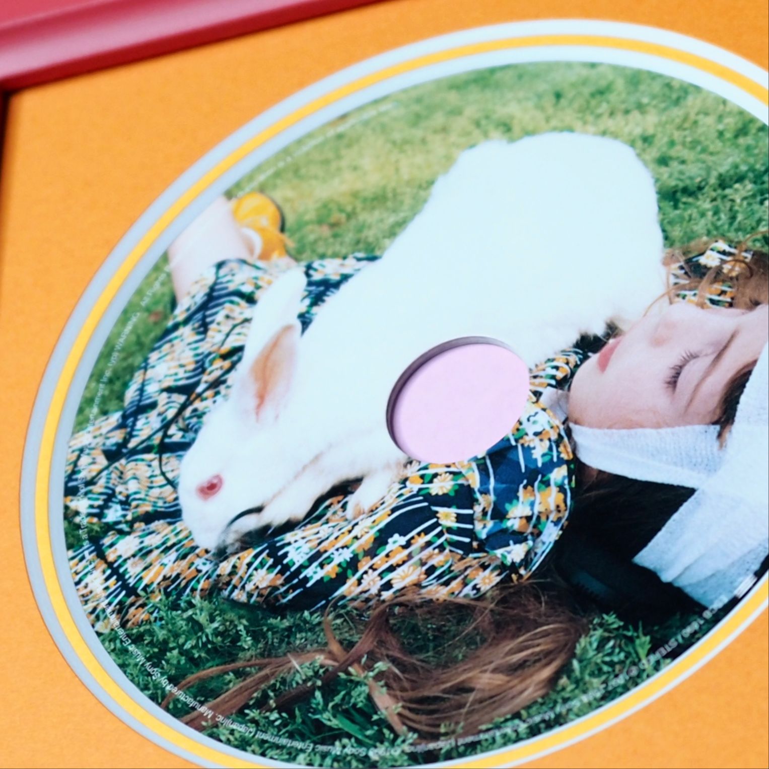  afternoon_sun 2