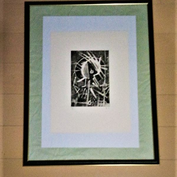 fra-me  散歩星人