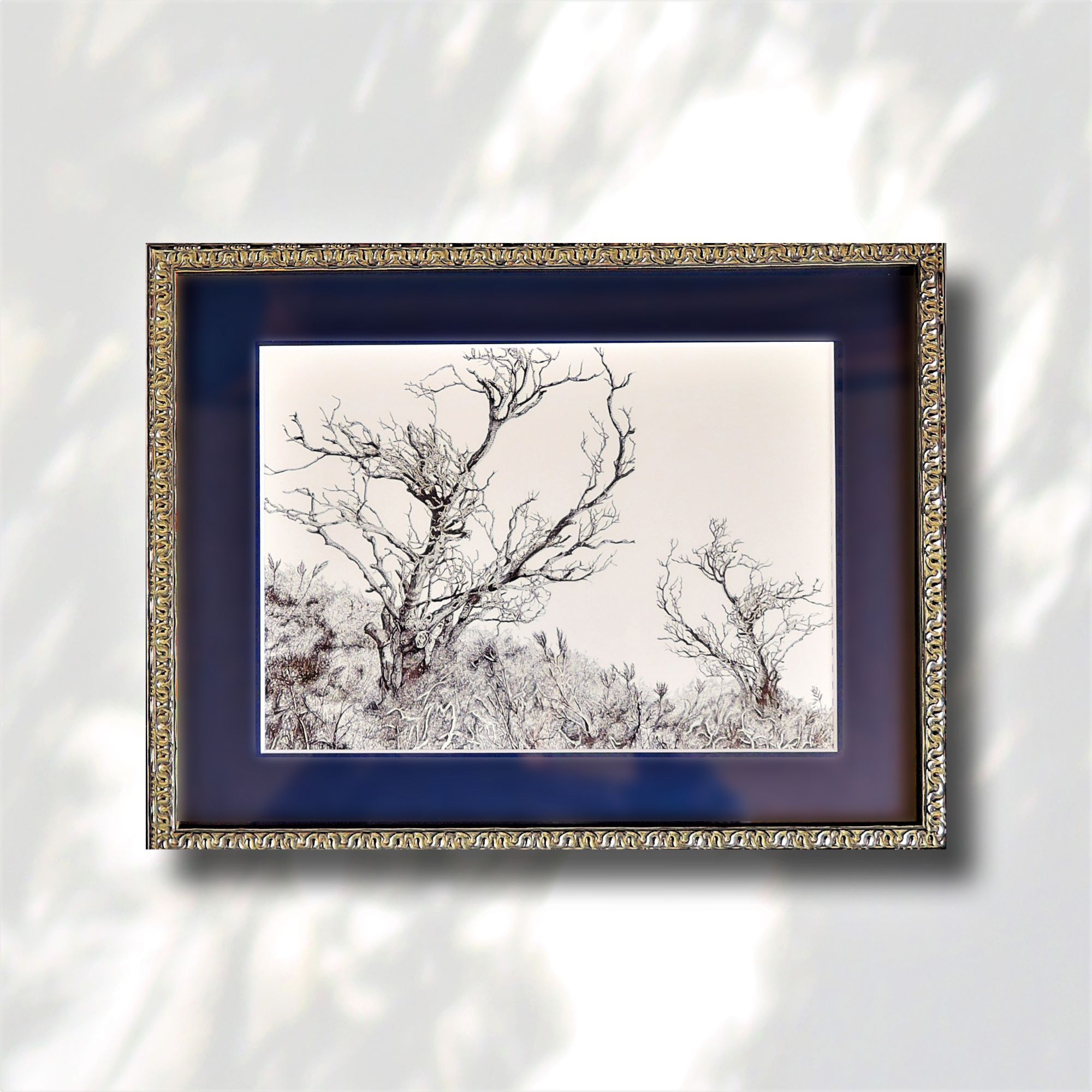 fra-me  soartanimation