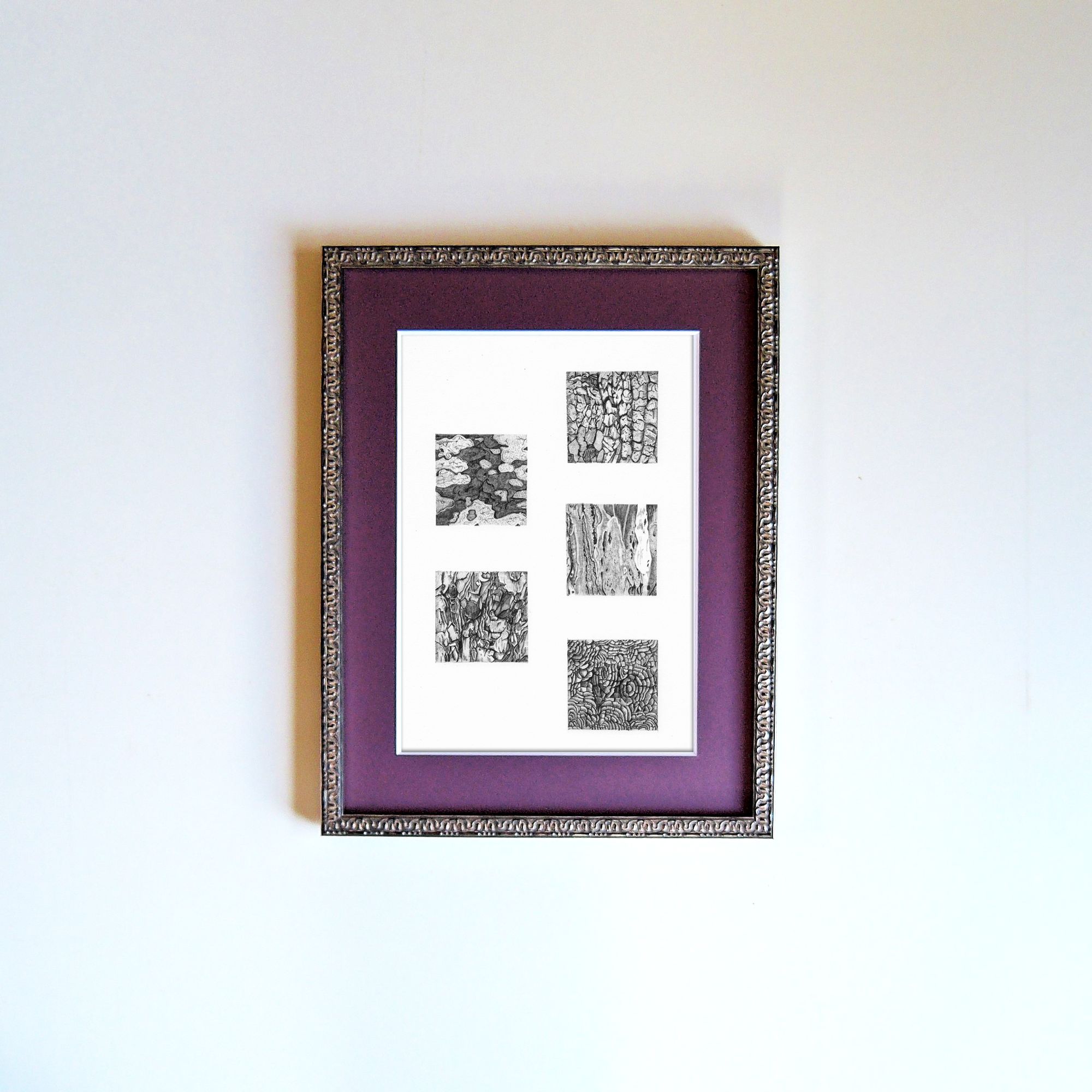 fra-me  soartanimation