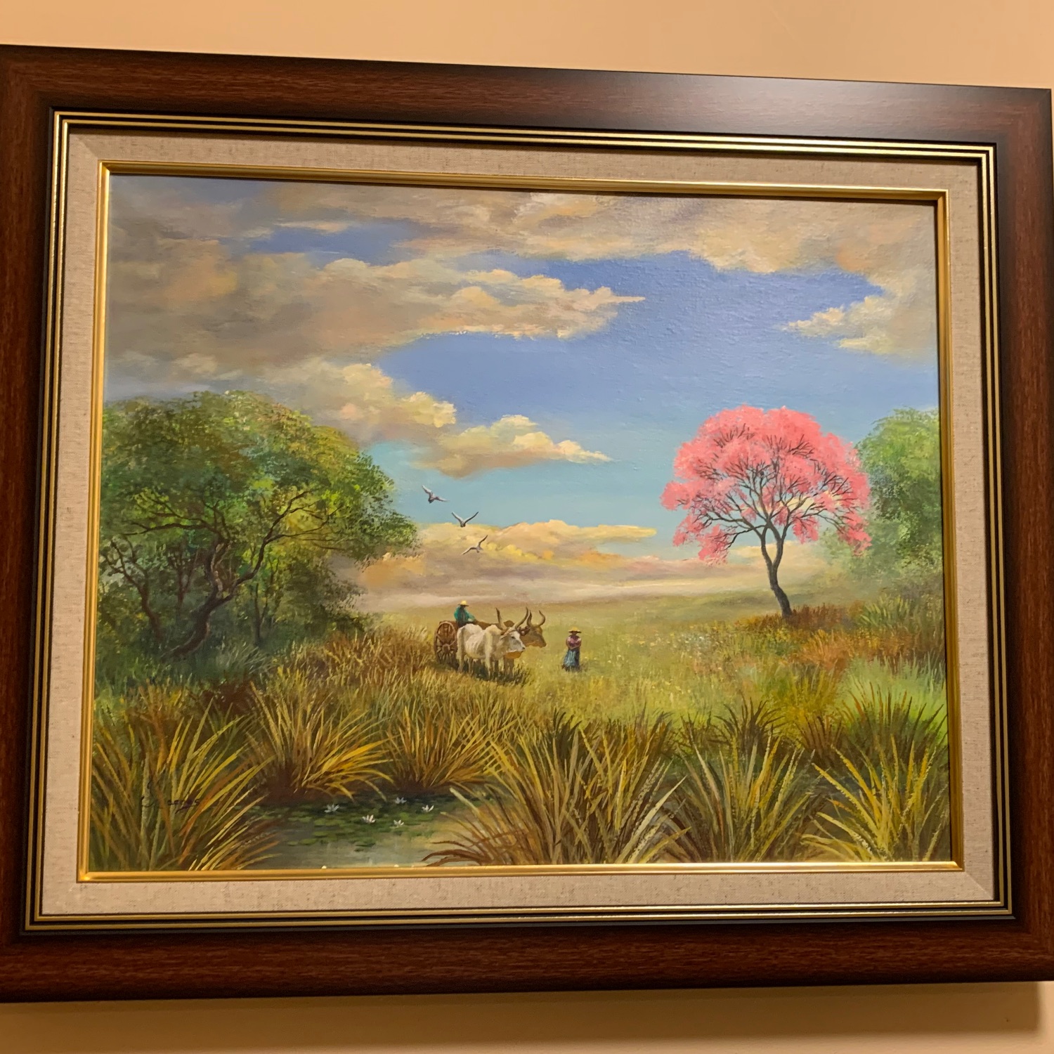 fra-me  パラグアイ