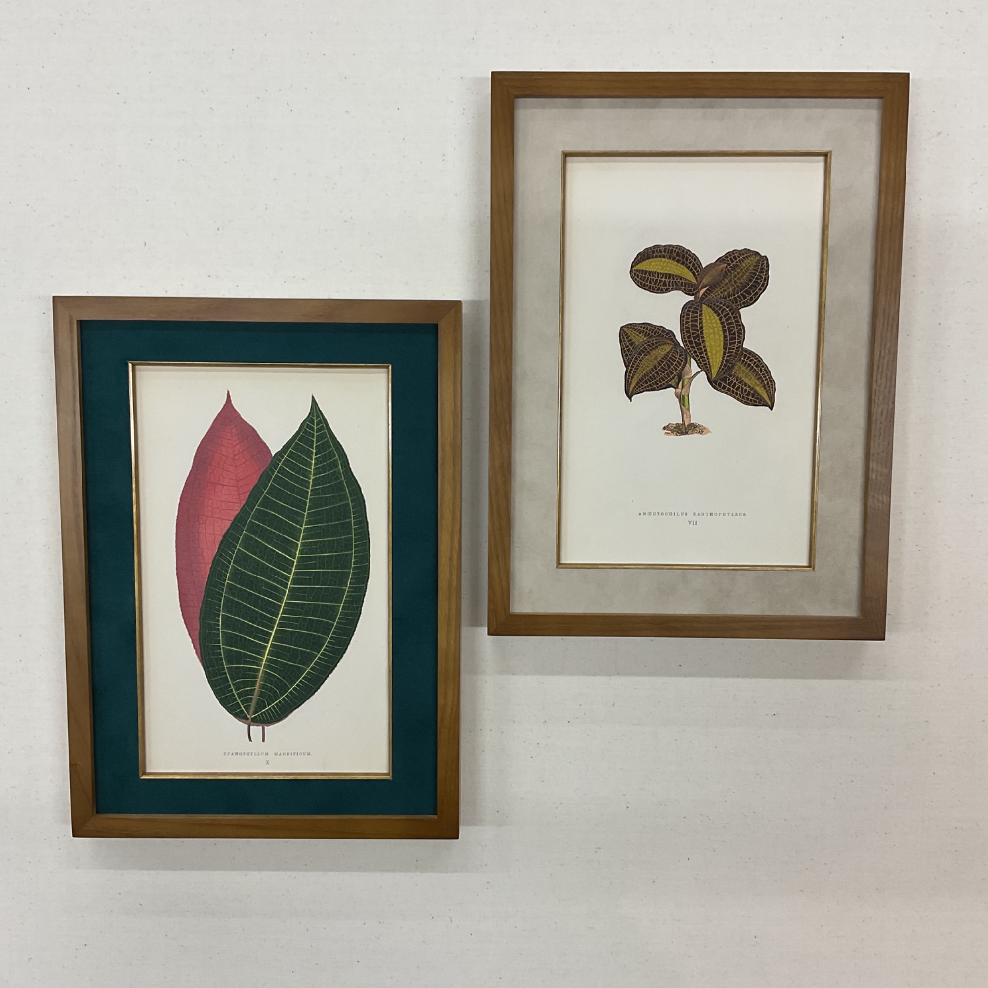 fra-me  額縁のタカハシ川中島本店