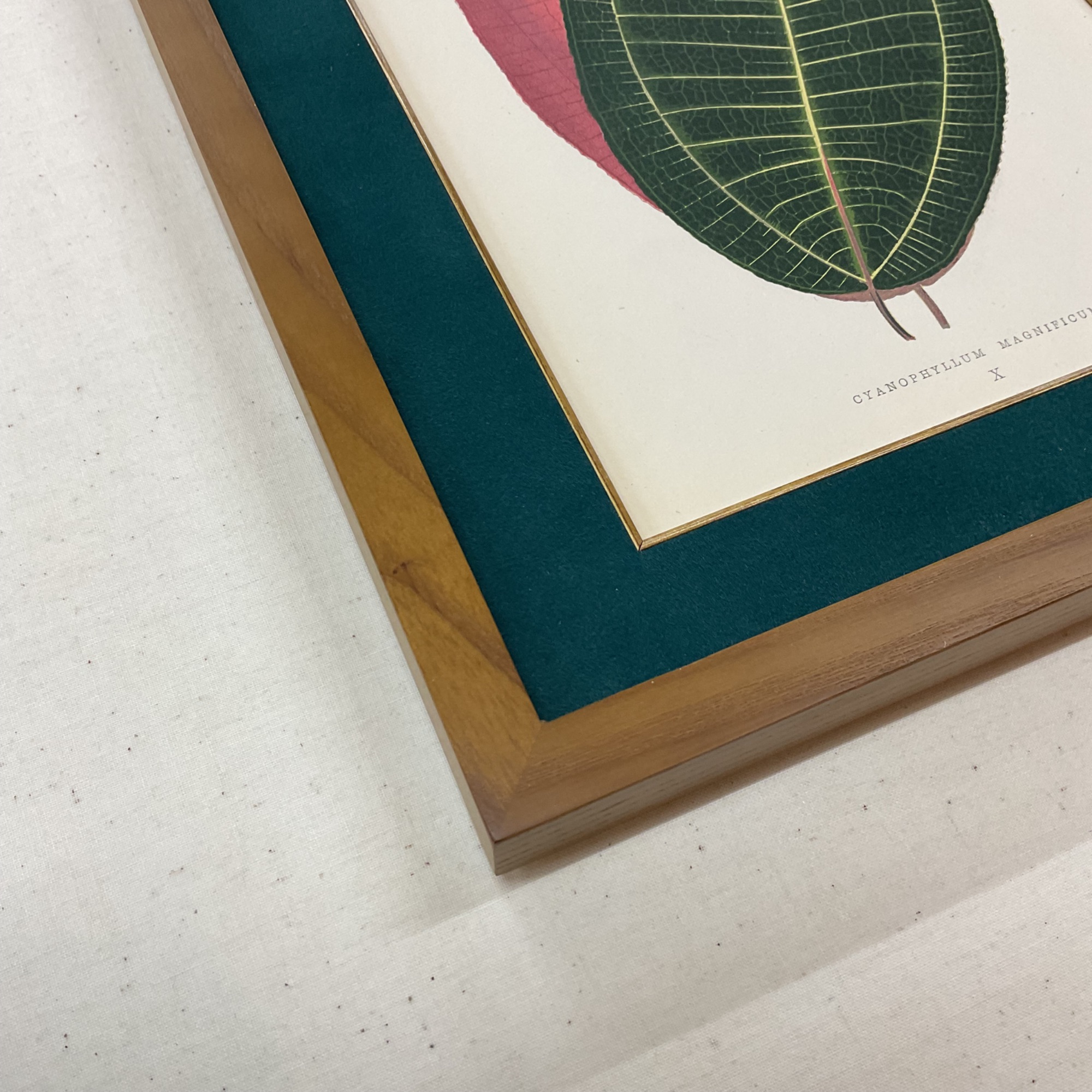  額縁のタカハシ川中島本店 3