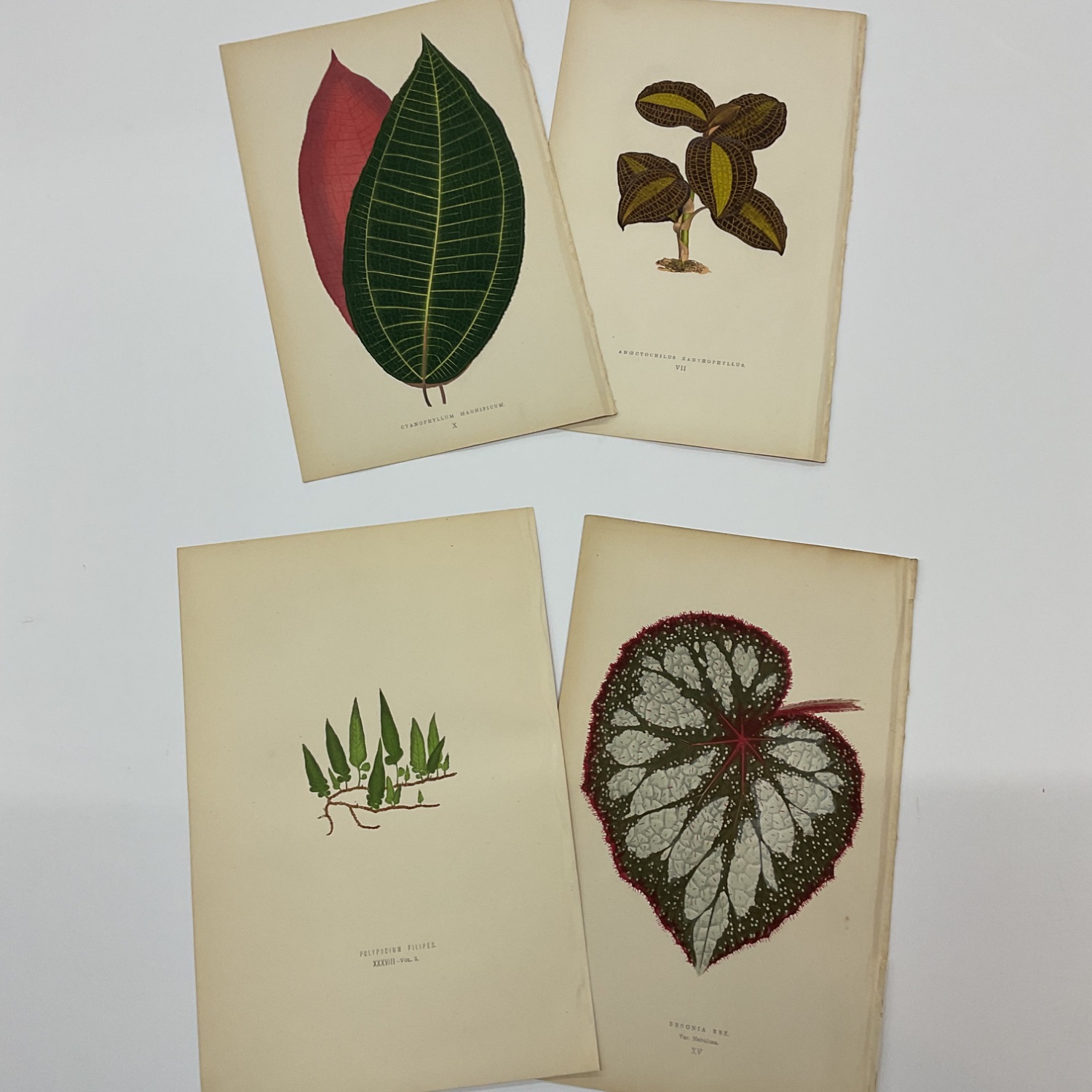  額縁のタカハシ川中島本店 4