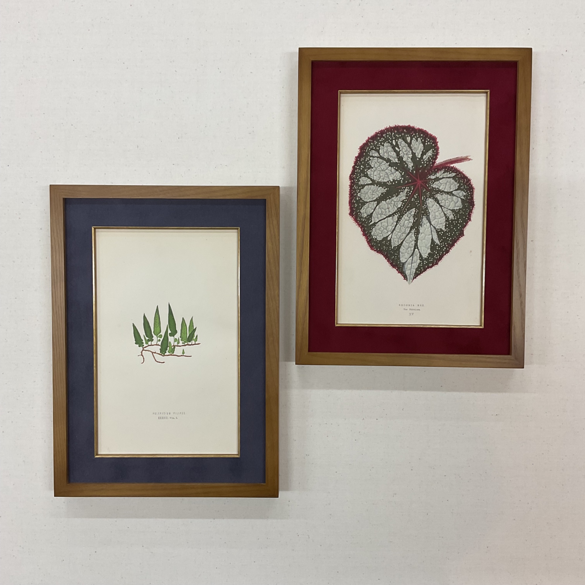  額縁のタカハシ川中島本店 2