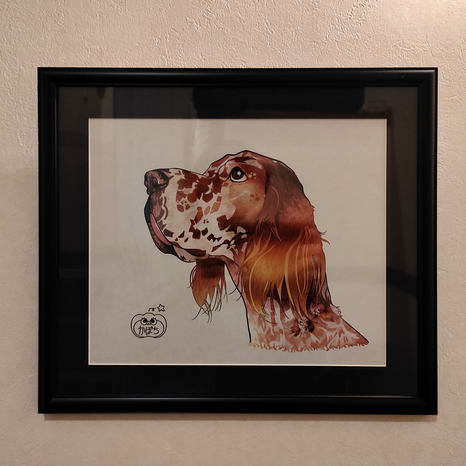  ソフィアパパ 1