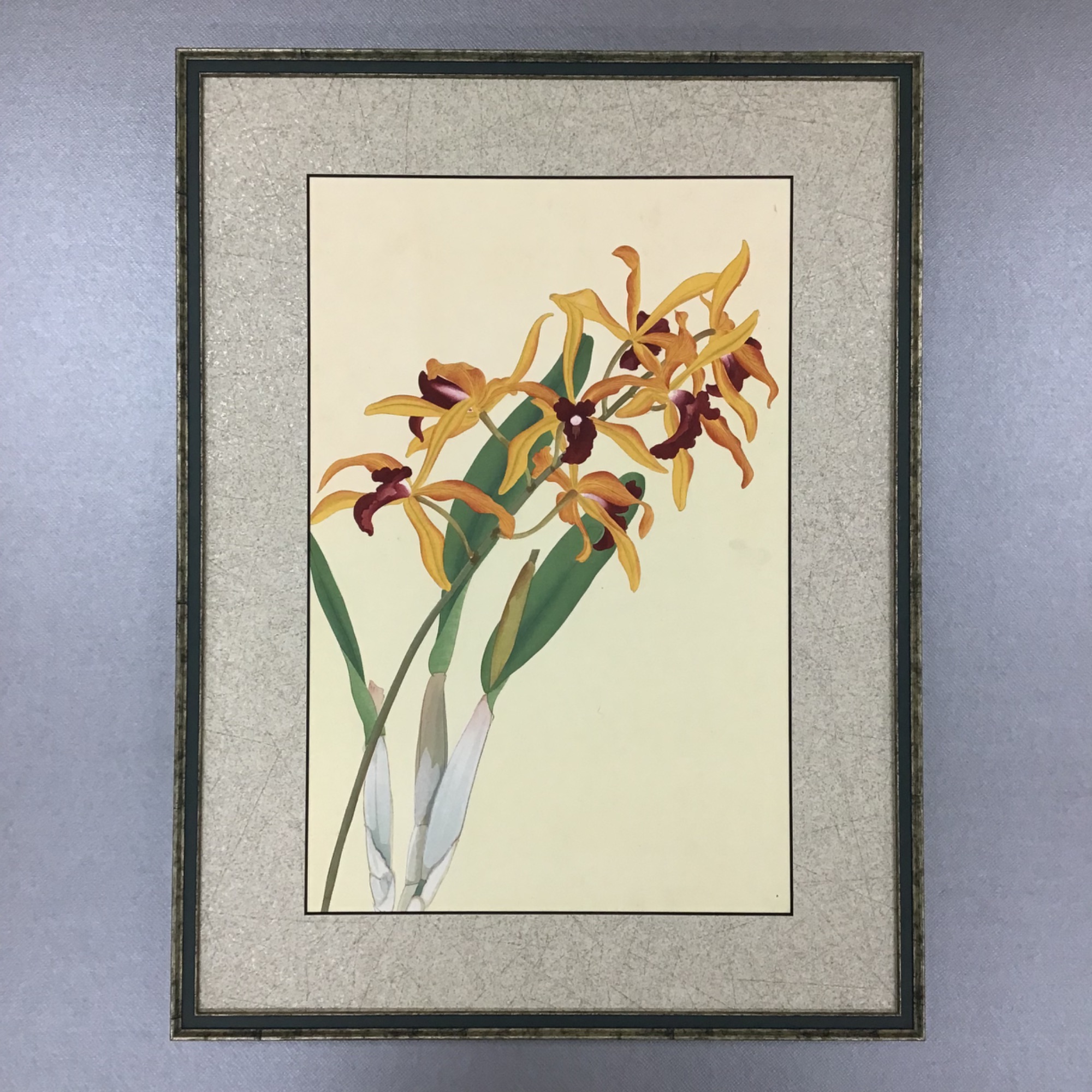 fra-me  額縁のタカハシ松本店