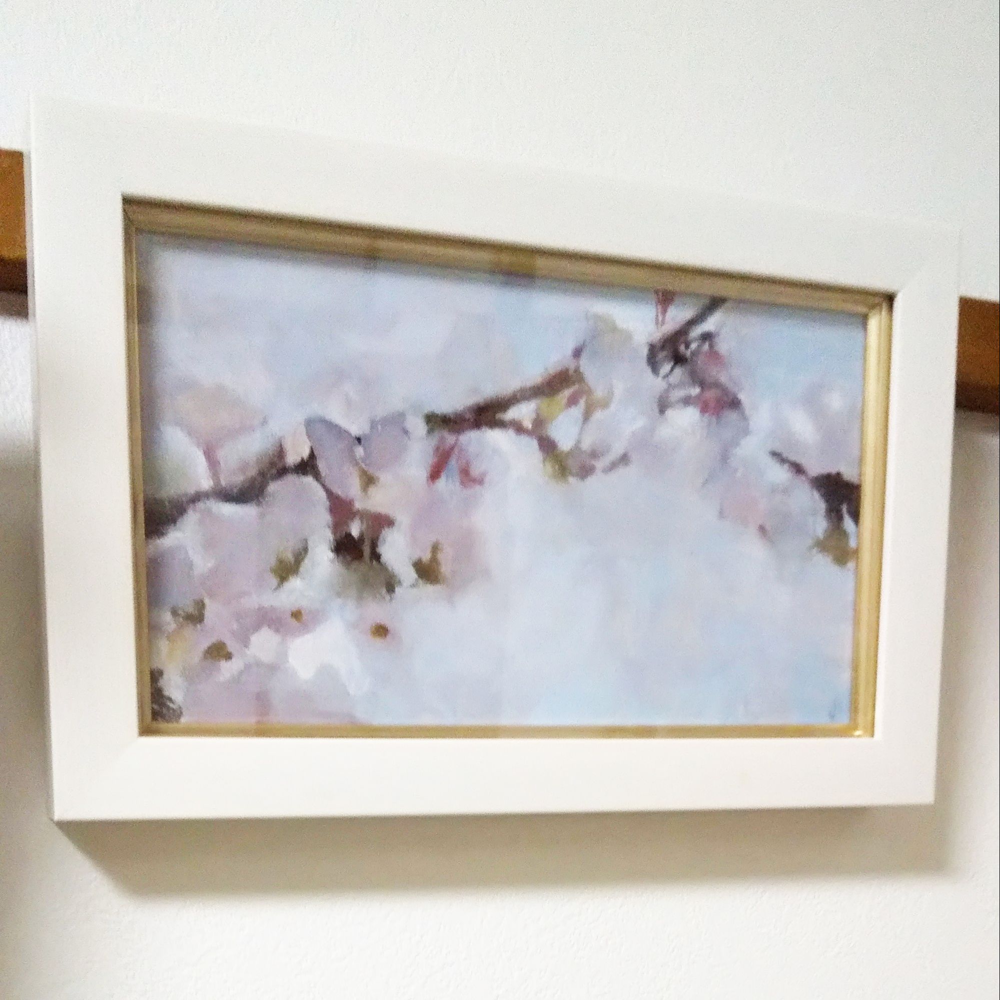 fra-me  権守ひかる