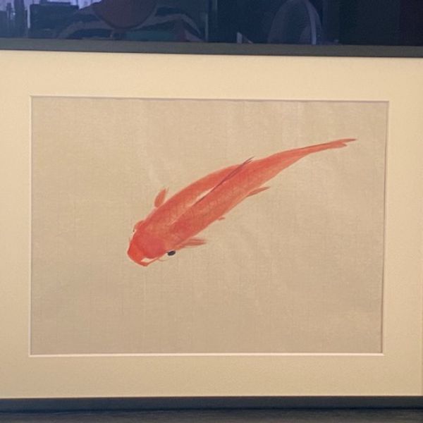 fra-me  ビギアート