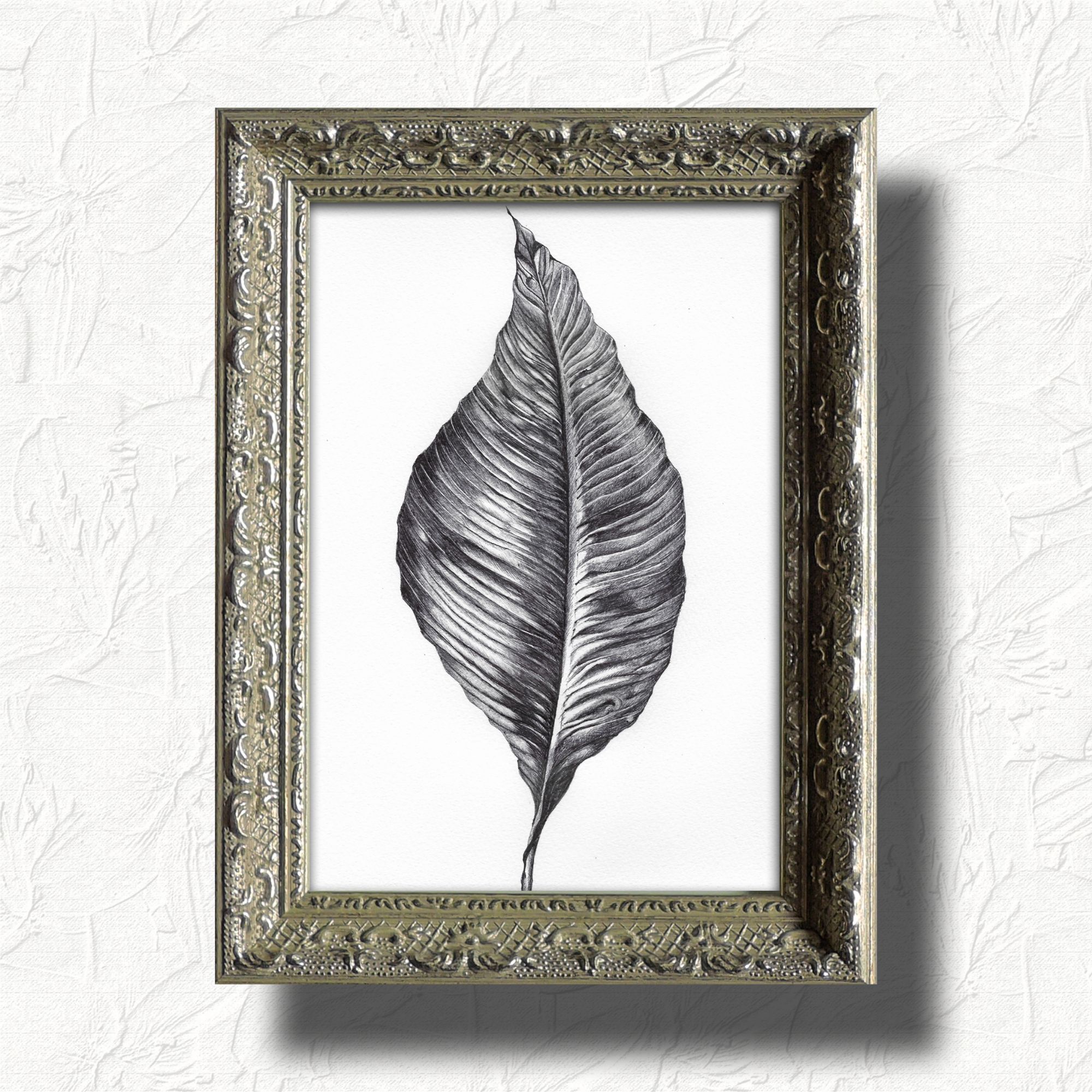 fra-me  soartanimation