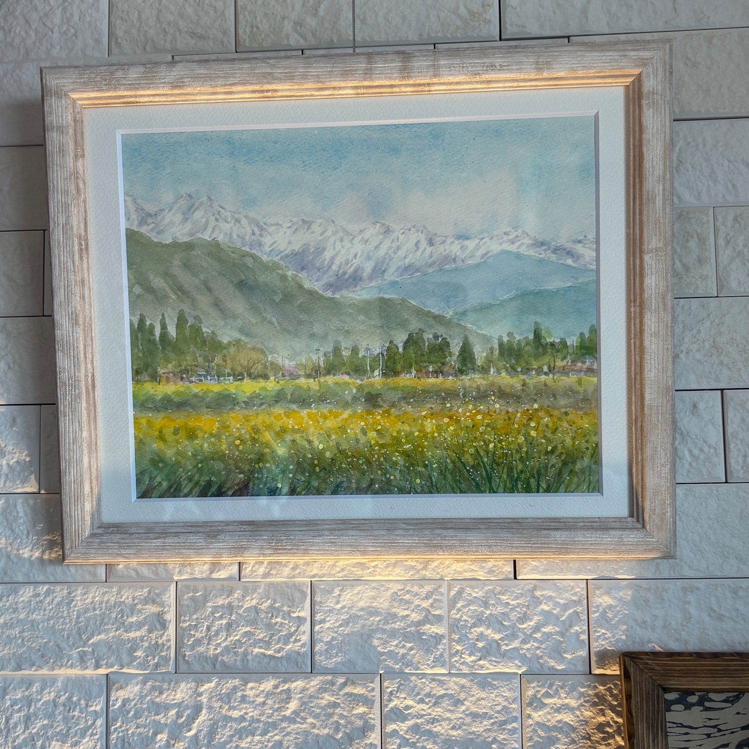 fra-me  いりちゃん