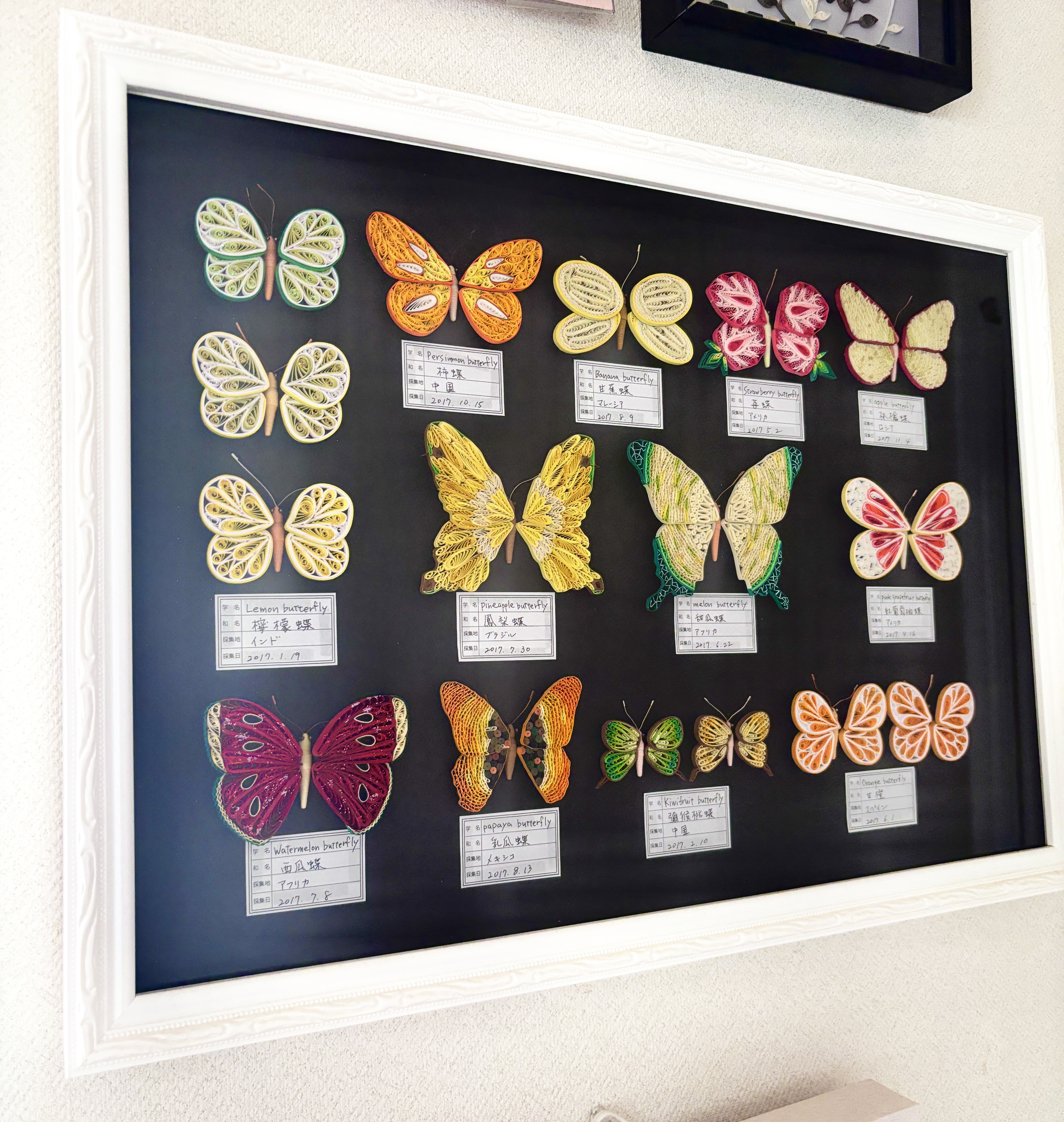 蝶々 HAPPYQUILLING 1