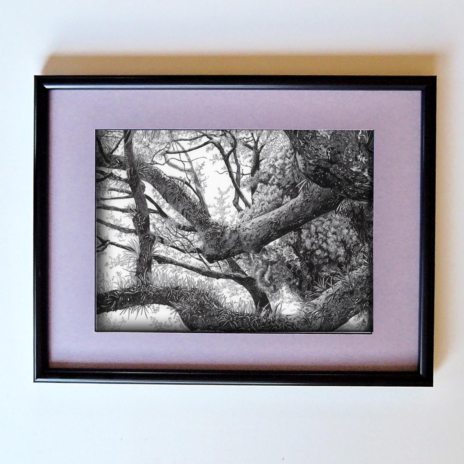 fra-me 樹の野生ーボールペン画バージョン soartanimation