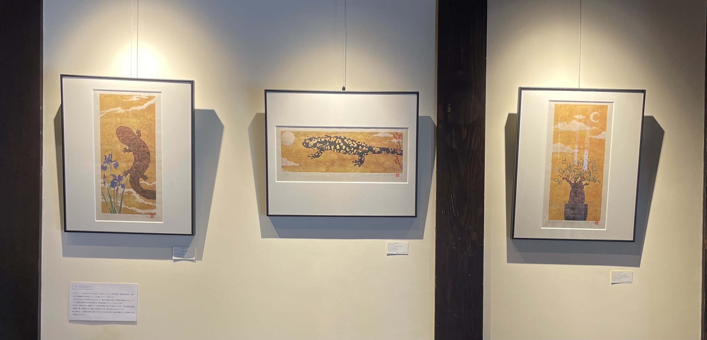 ジークレー　３点 JET 1