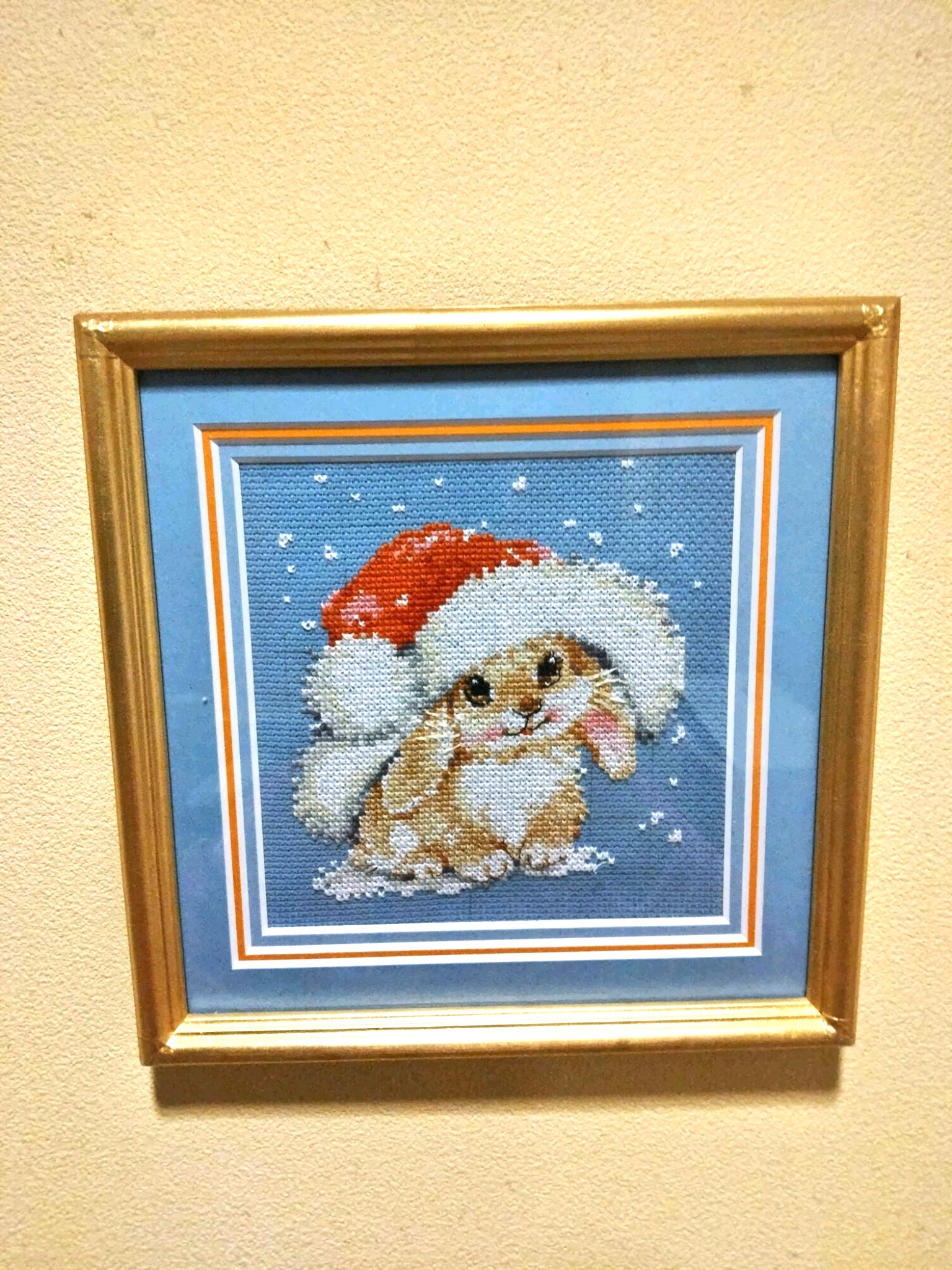 fra-me バニーちゃん Qe1pDRdJ