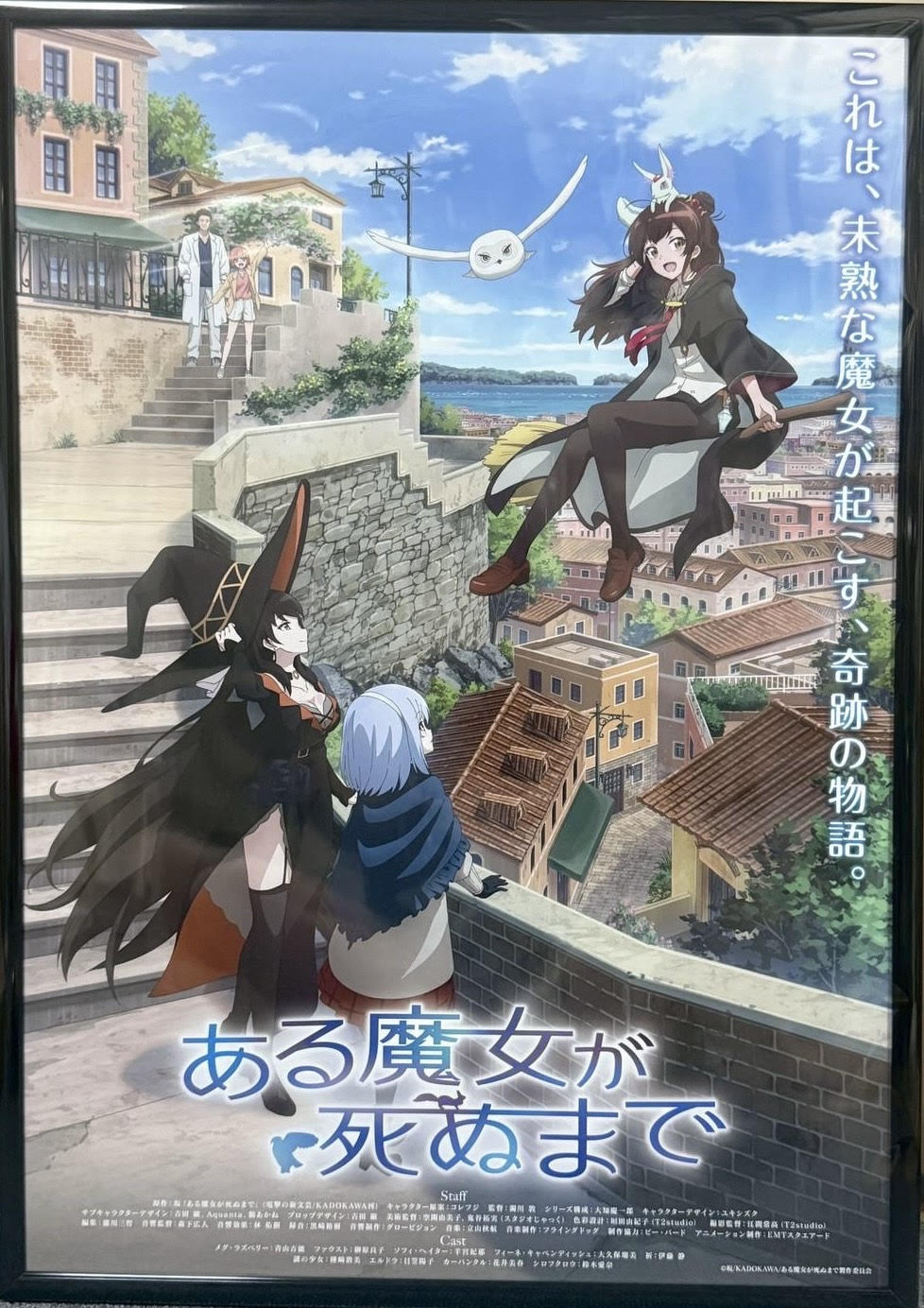 fra-me 程よい太さ 美月