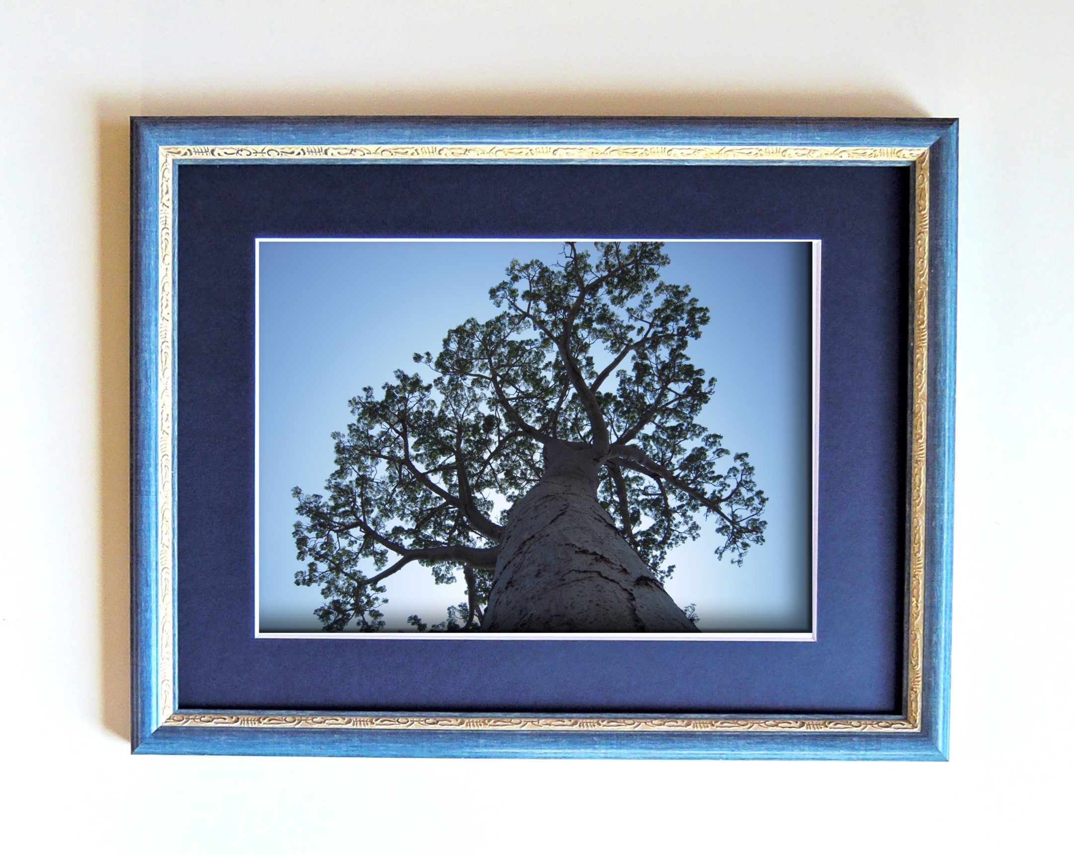 fra-me バオバブ soartanimation