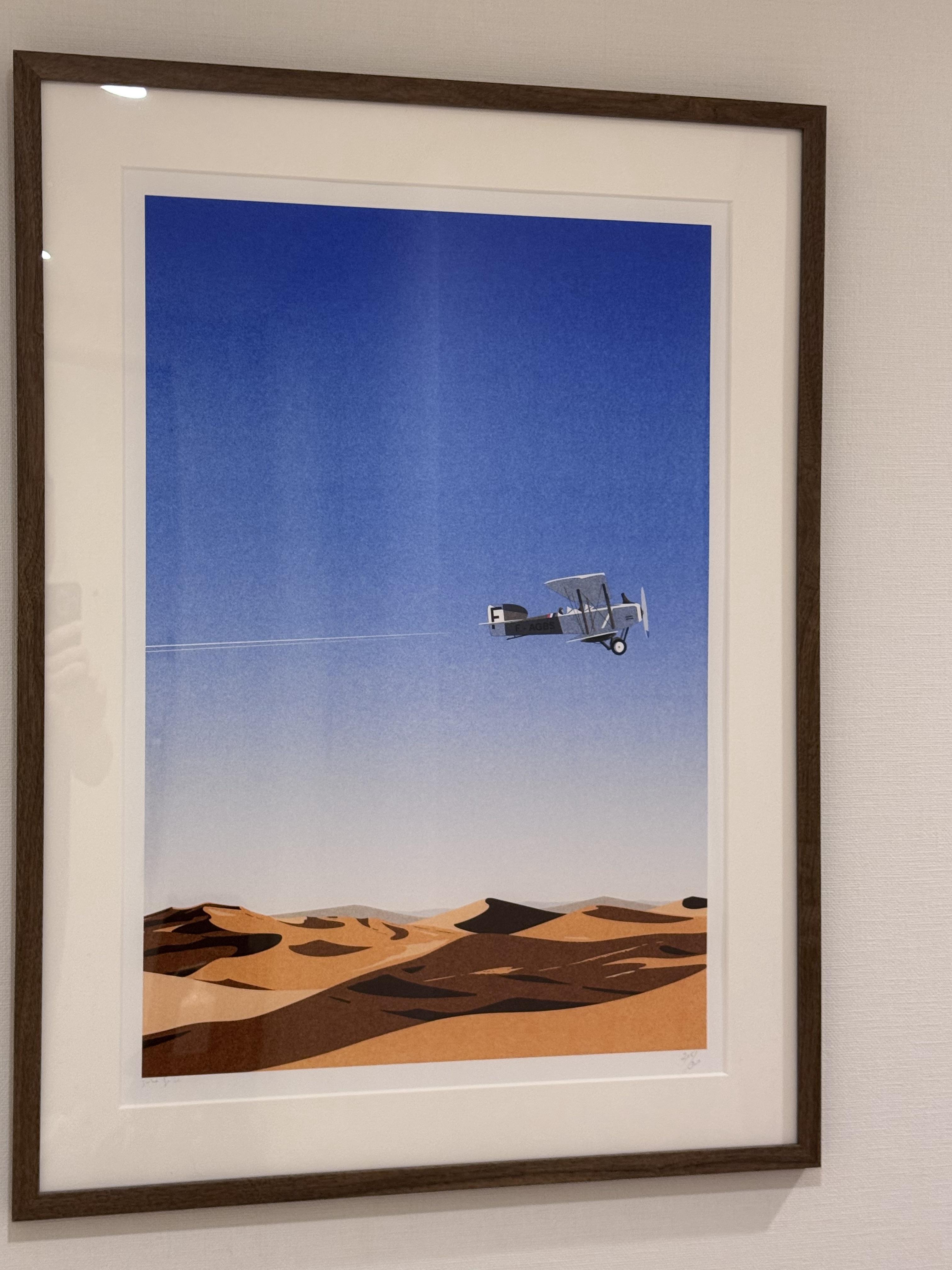 fra-me 完璧サイズで超感動 ハゲタカ