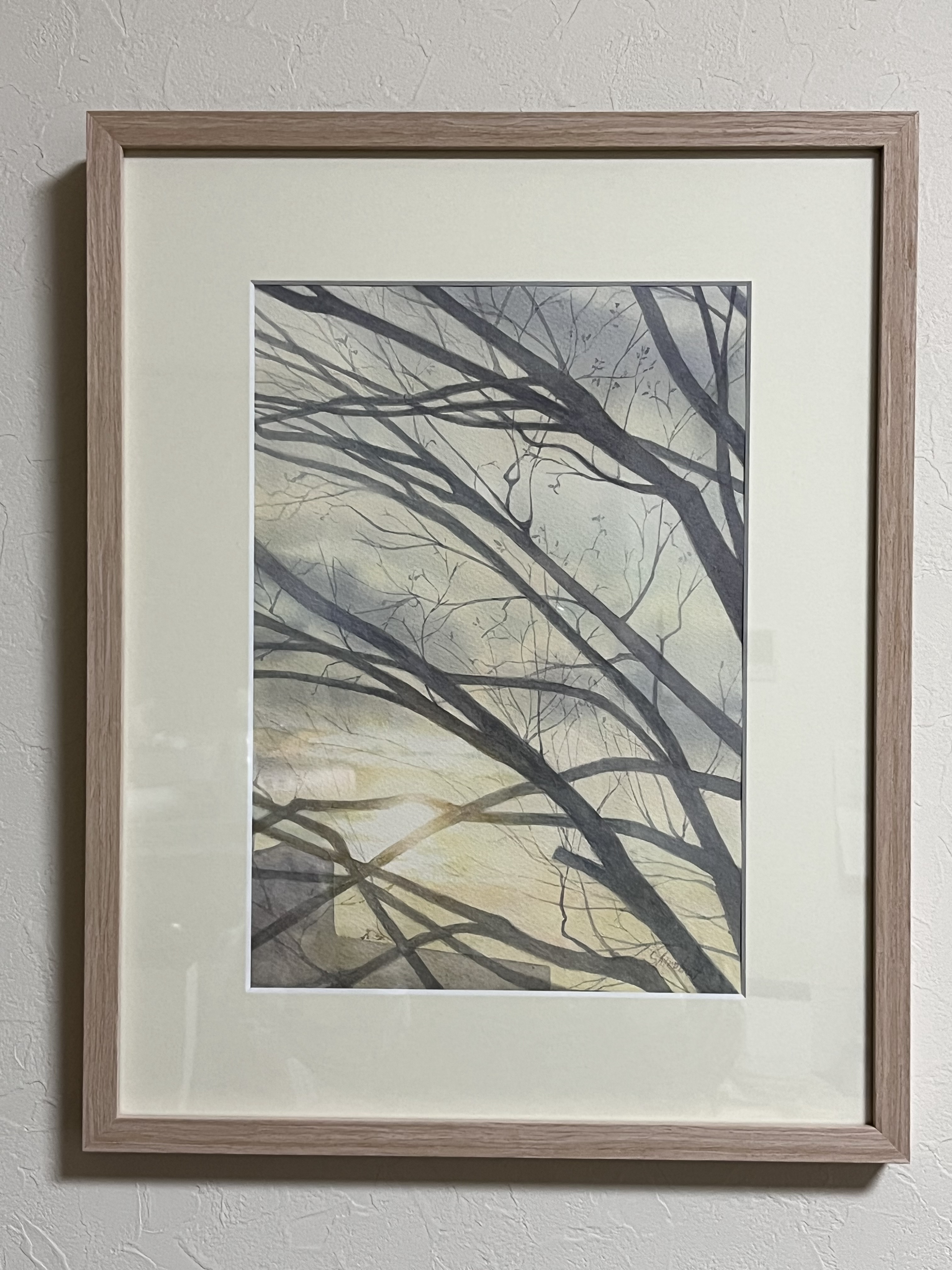 お客様の声 フレーミー しの