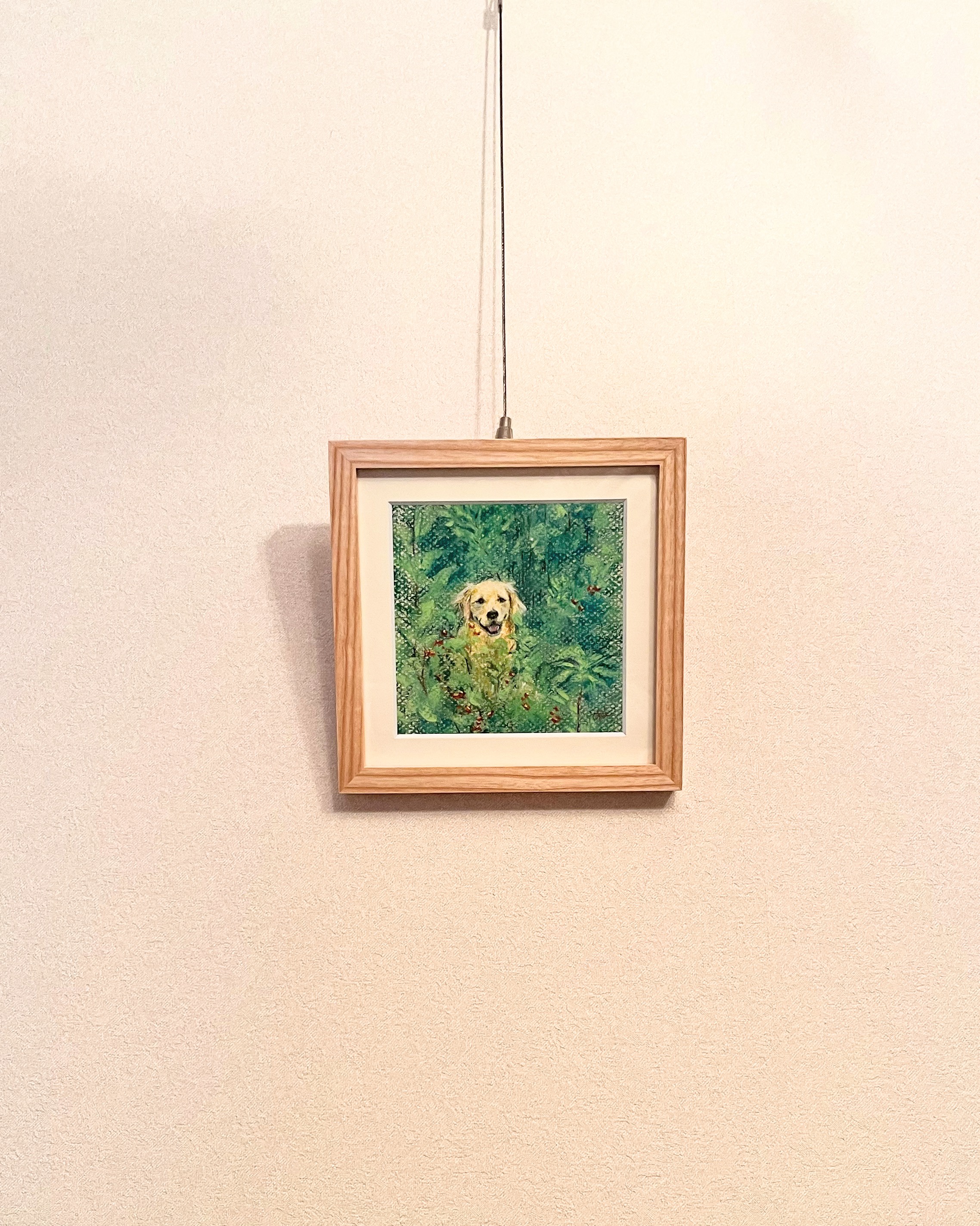 お客様の声 フレーミー 森の中