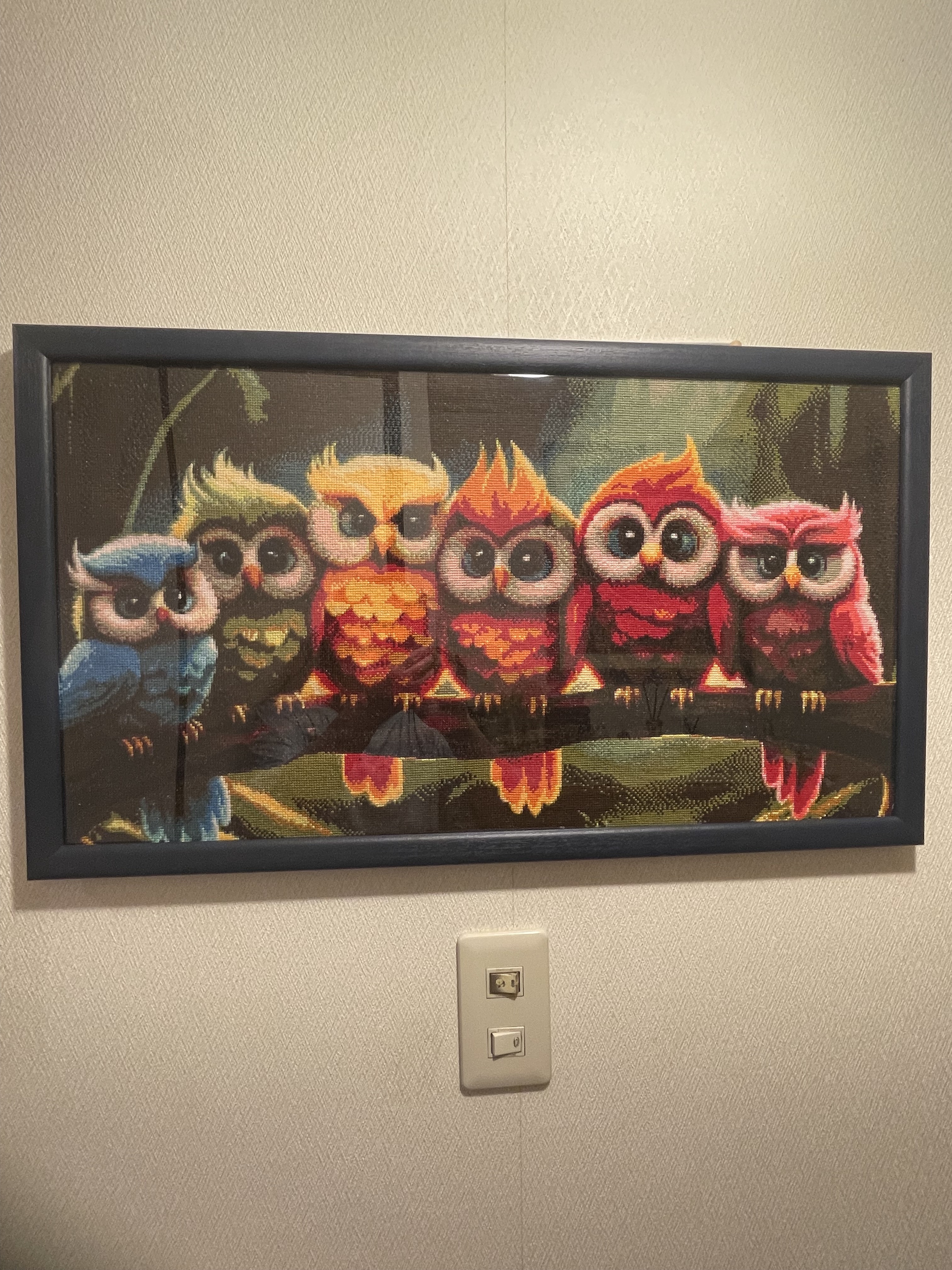 fra-me カラフルフクロウ Mion