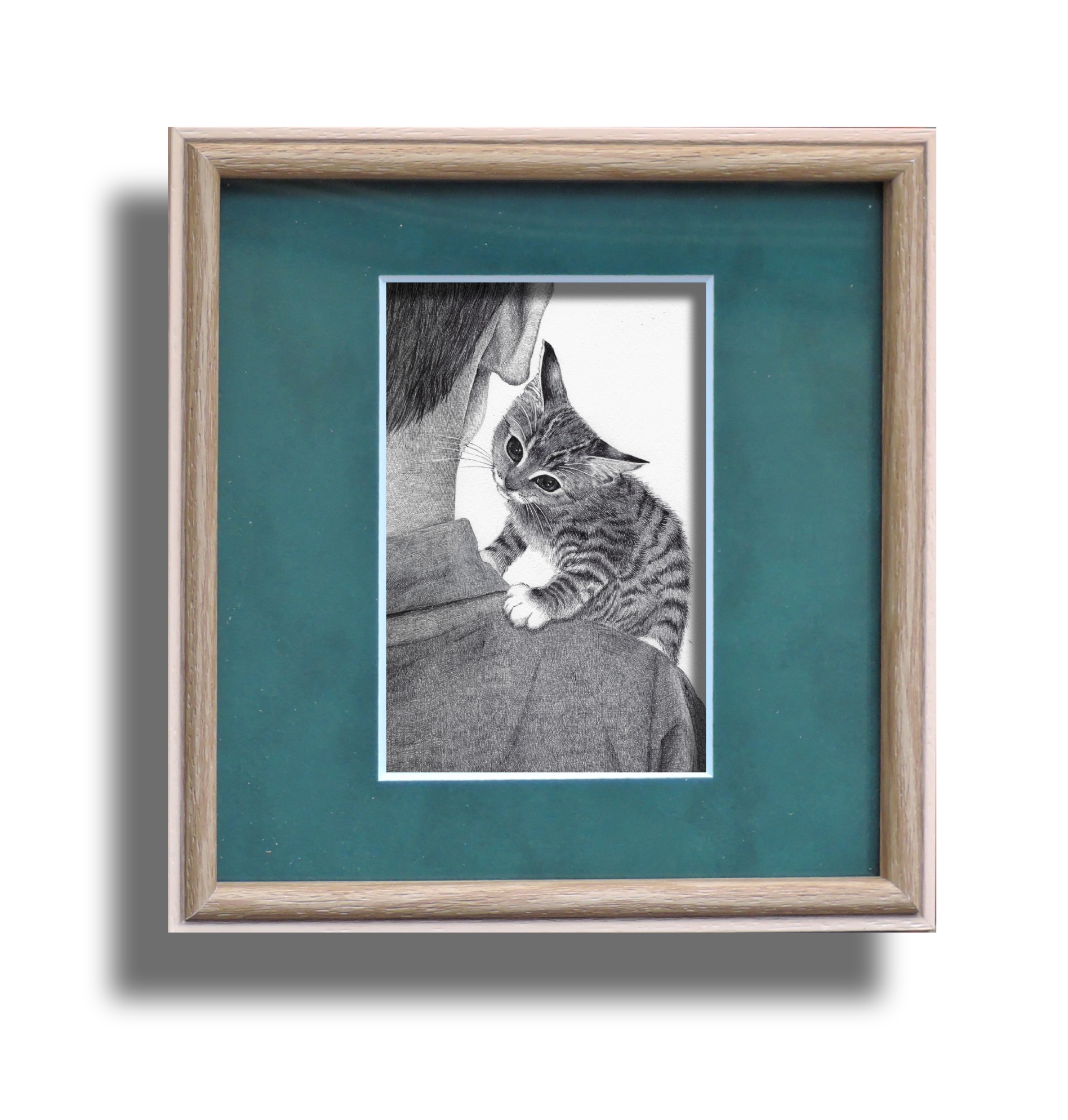 fra-me イカ耳猫-1 soartanimation