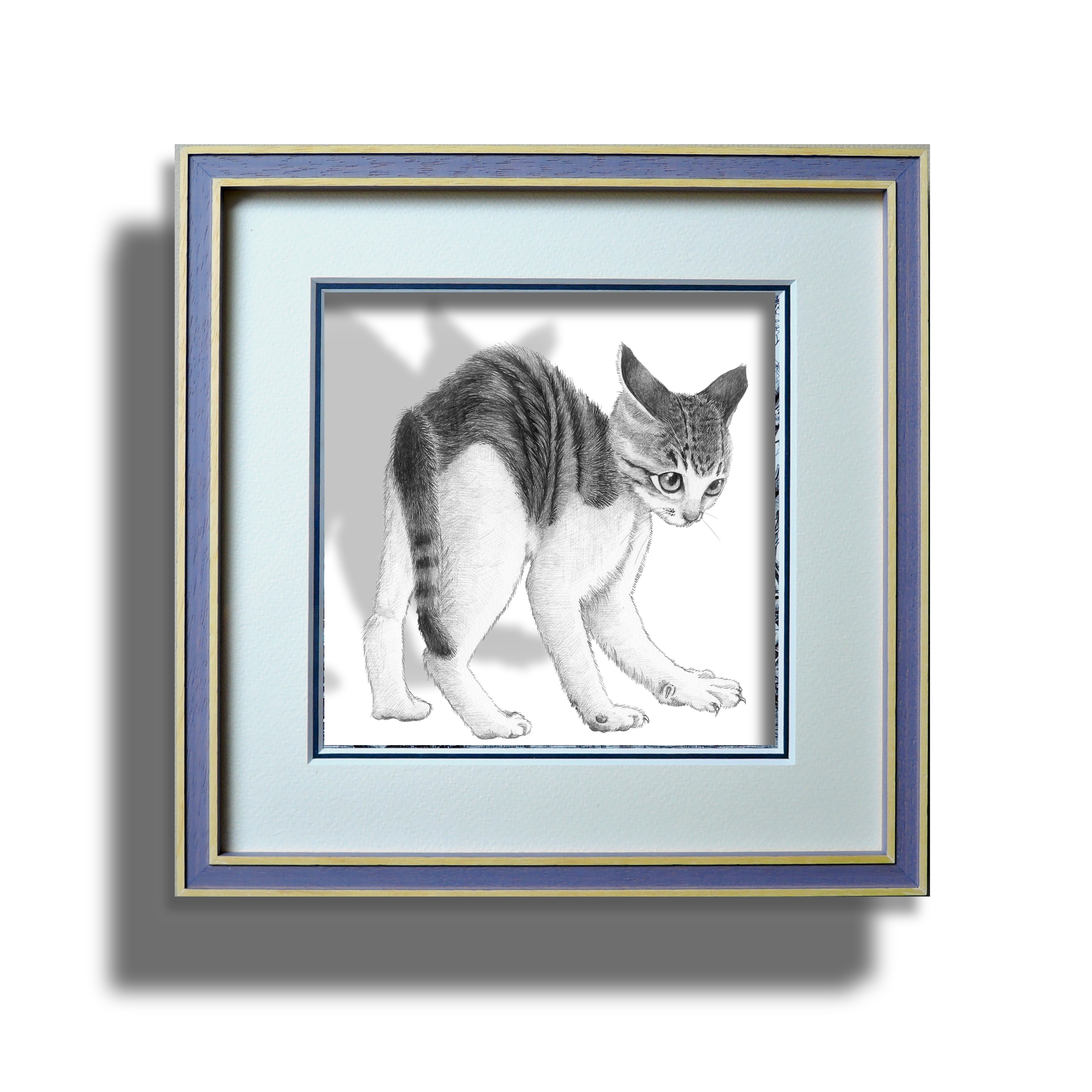 fra-me イカ耳猫-2 soartanimation