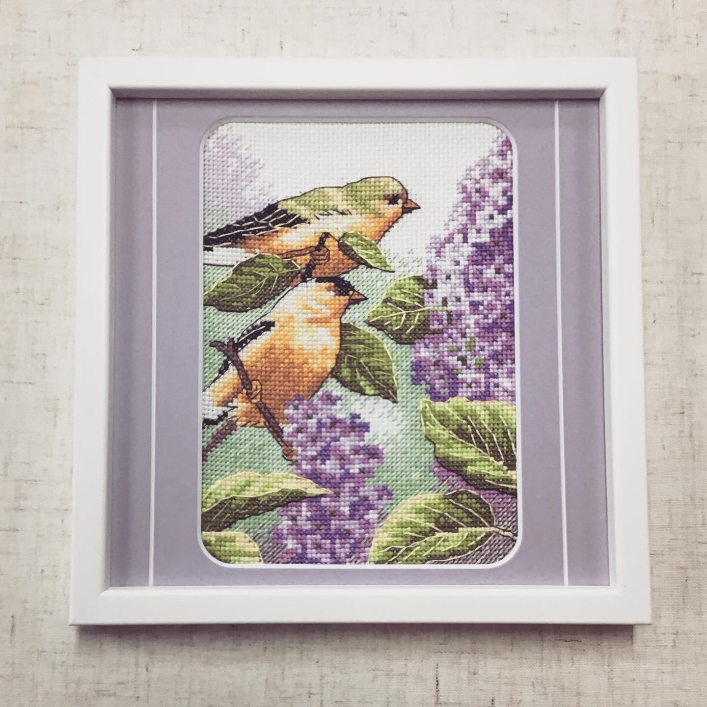  額縁のタカハシ松本店 4