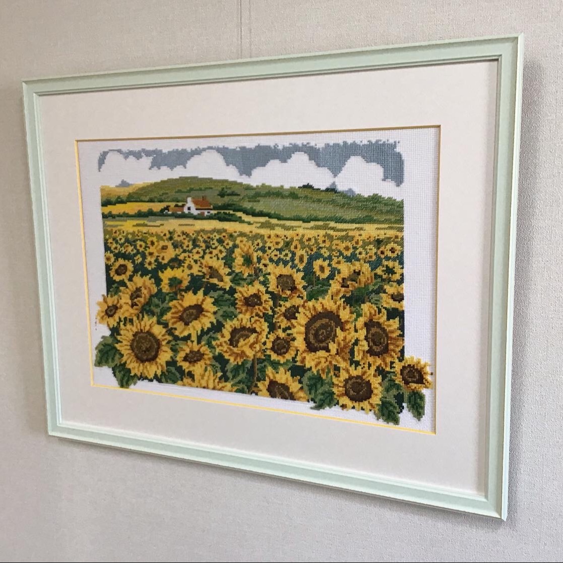  額縁のタカハシ川中島本店 1