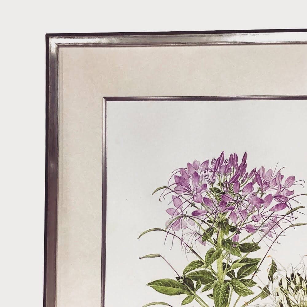  額縁のタカハシ松本店 3