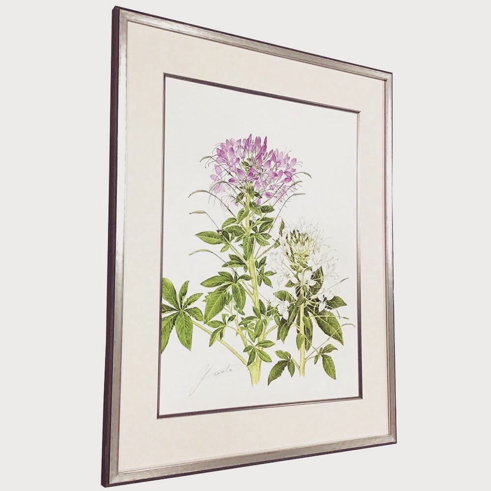  額縁のタカハシ松本店 2