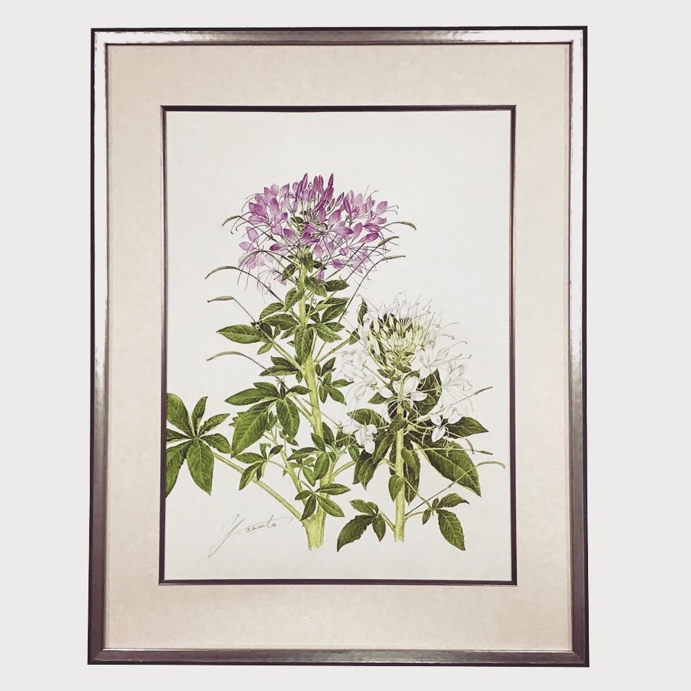 fra-me  額縁のタカハシ松本店