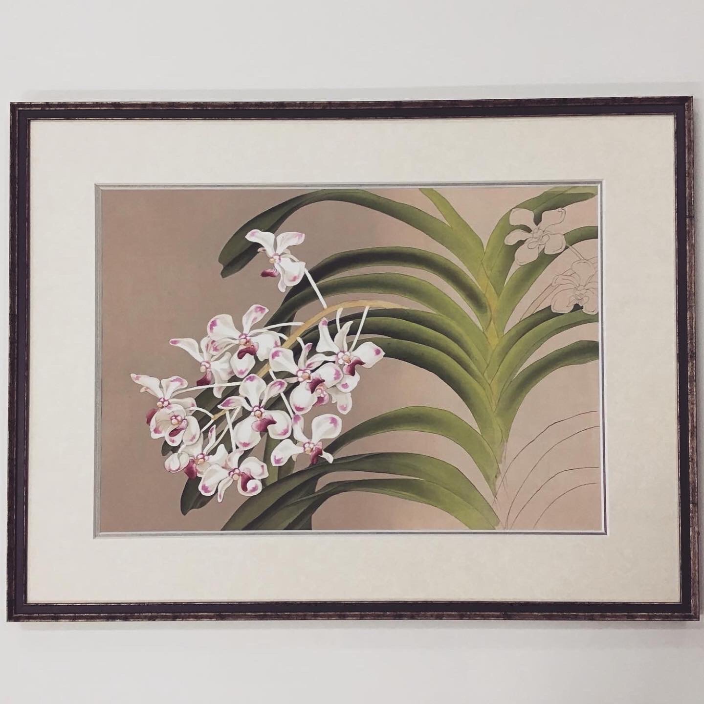 fra-me  額縁のタカハシ松本店