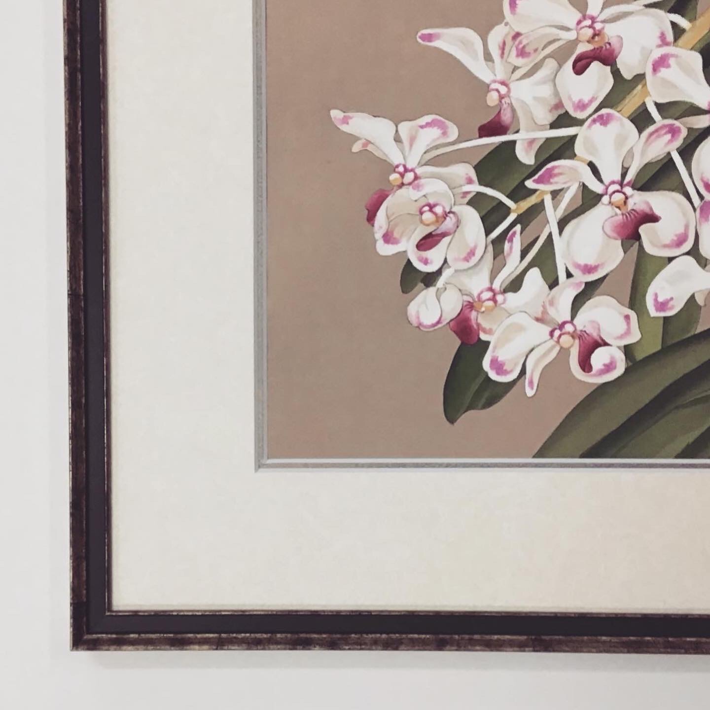  額縁のタカハシ松本店 3