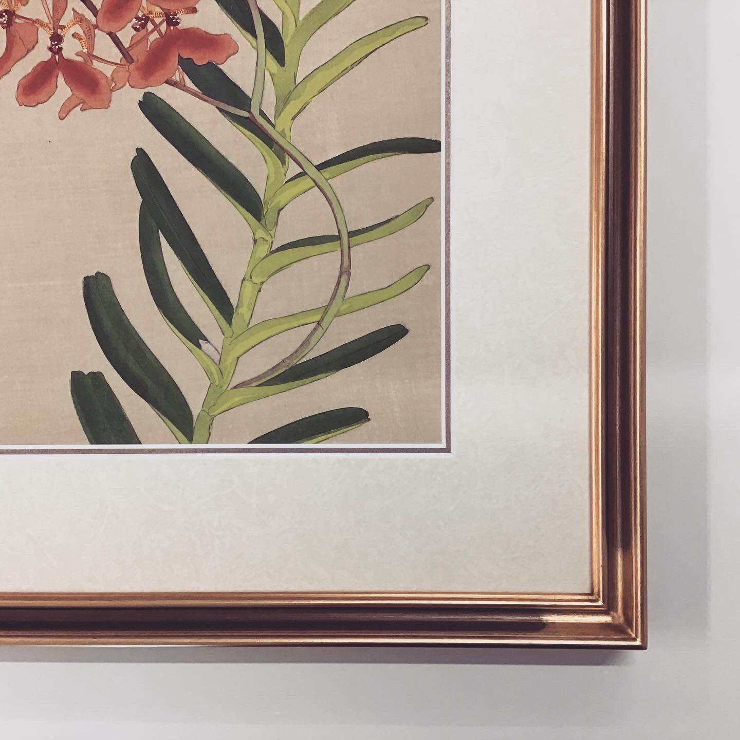  額縁のタカハシ松本店 3