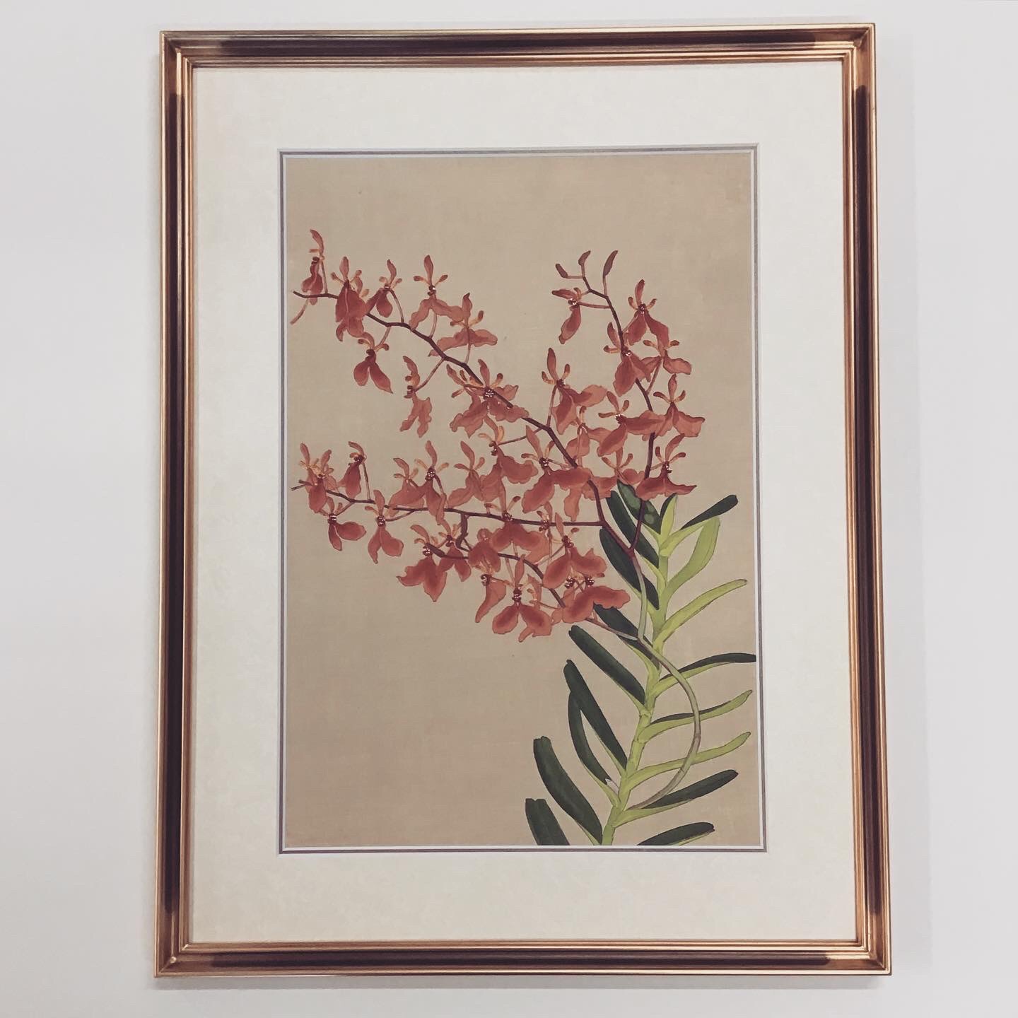  額縁のタカハシ松本店 1