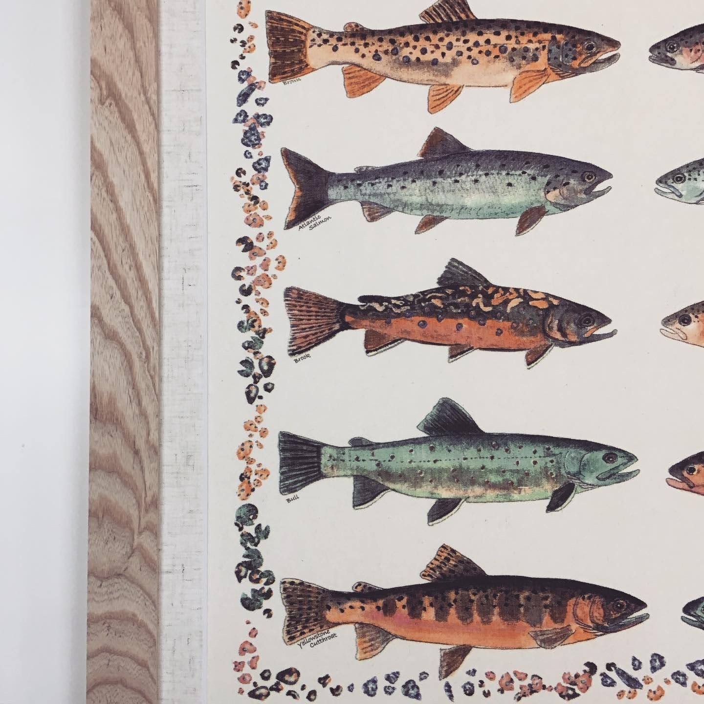  額縁のタカハシ松本店 3