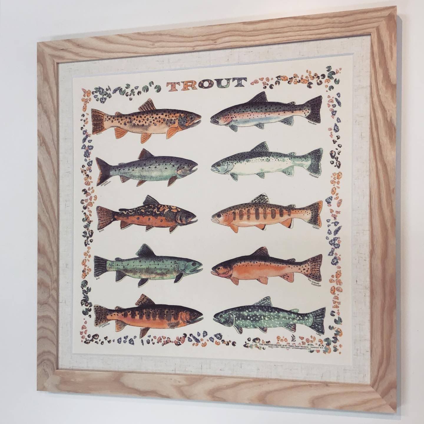  額縁のタカハシ松本店 2